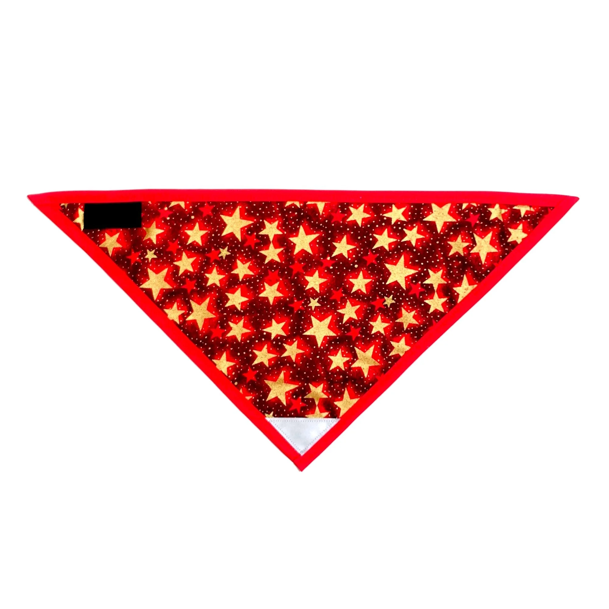 Shiny Gold Stars.JPG