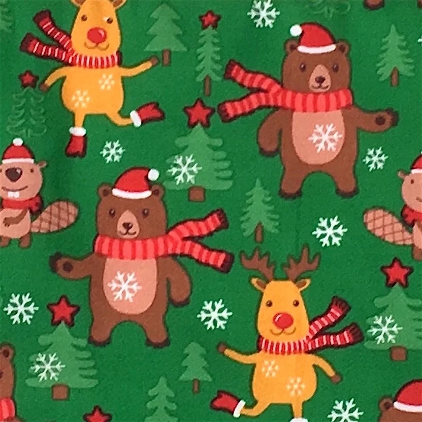 Winter Friends (Inset).JPG