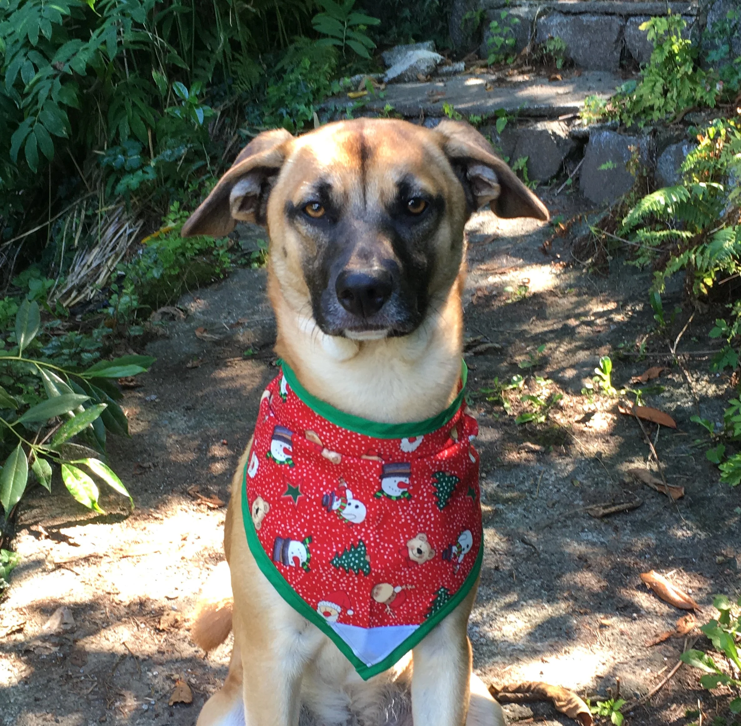 Holiday Fun - Pettee.JPG