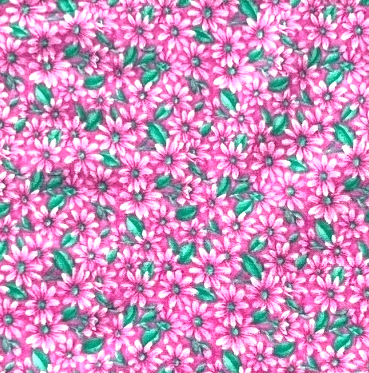 Pink Daisy (Inset).png