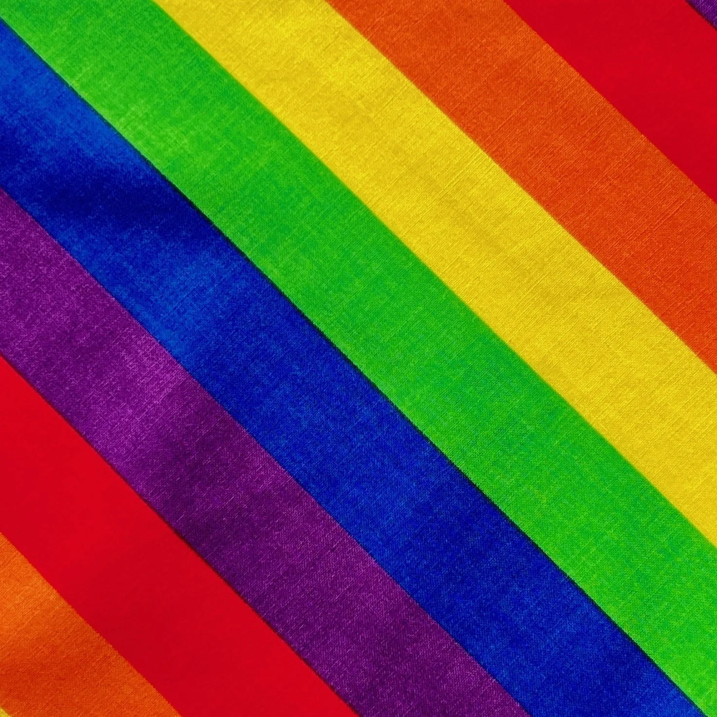 Pride Flag (Inset).JPG