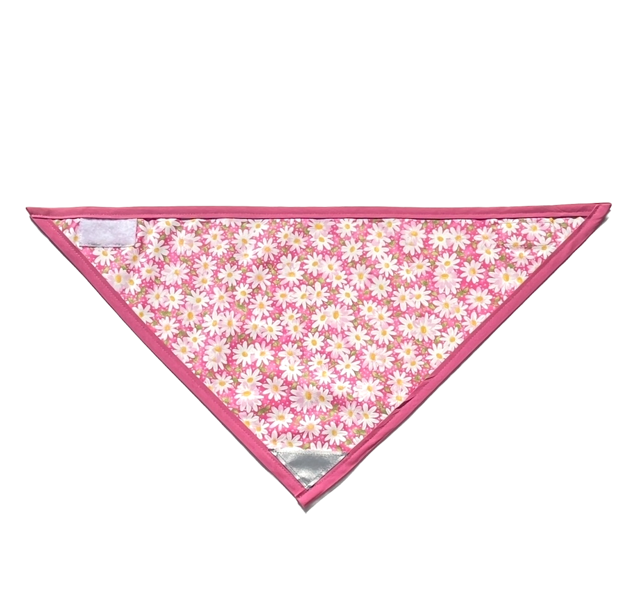 Daisy - Pink.png