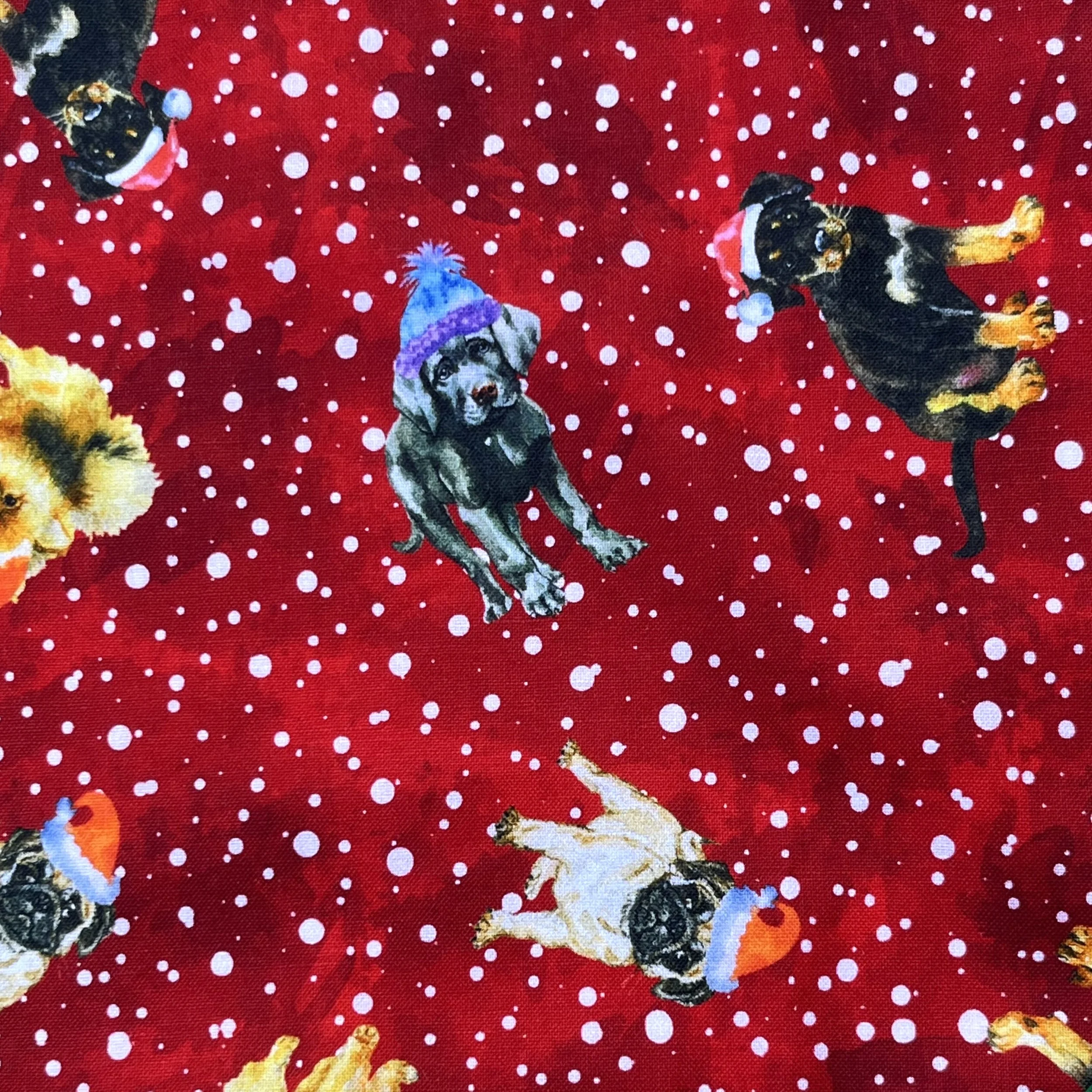 Jingle Pups (Inset).jpg