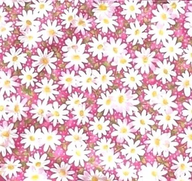 Daisy Pink (Inset).jpeg