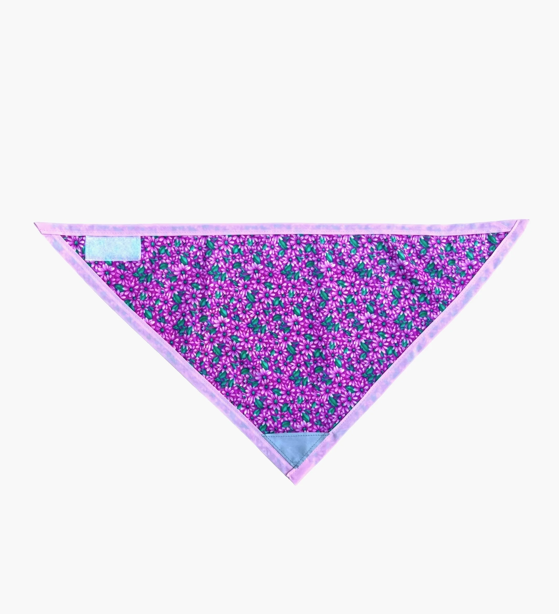 Pink Daisies.jpg