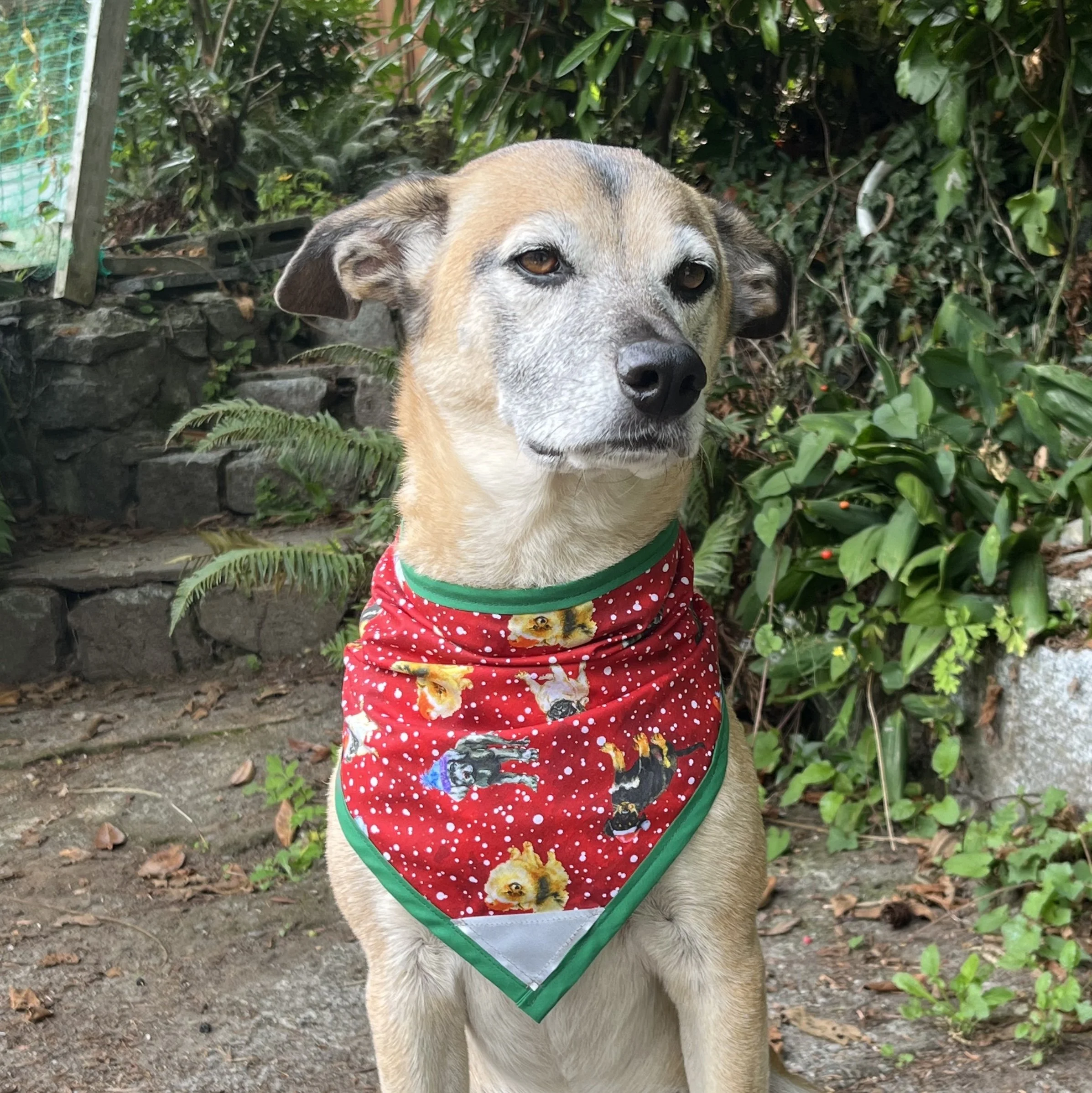 Jingle Pups - P.jpg