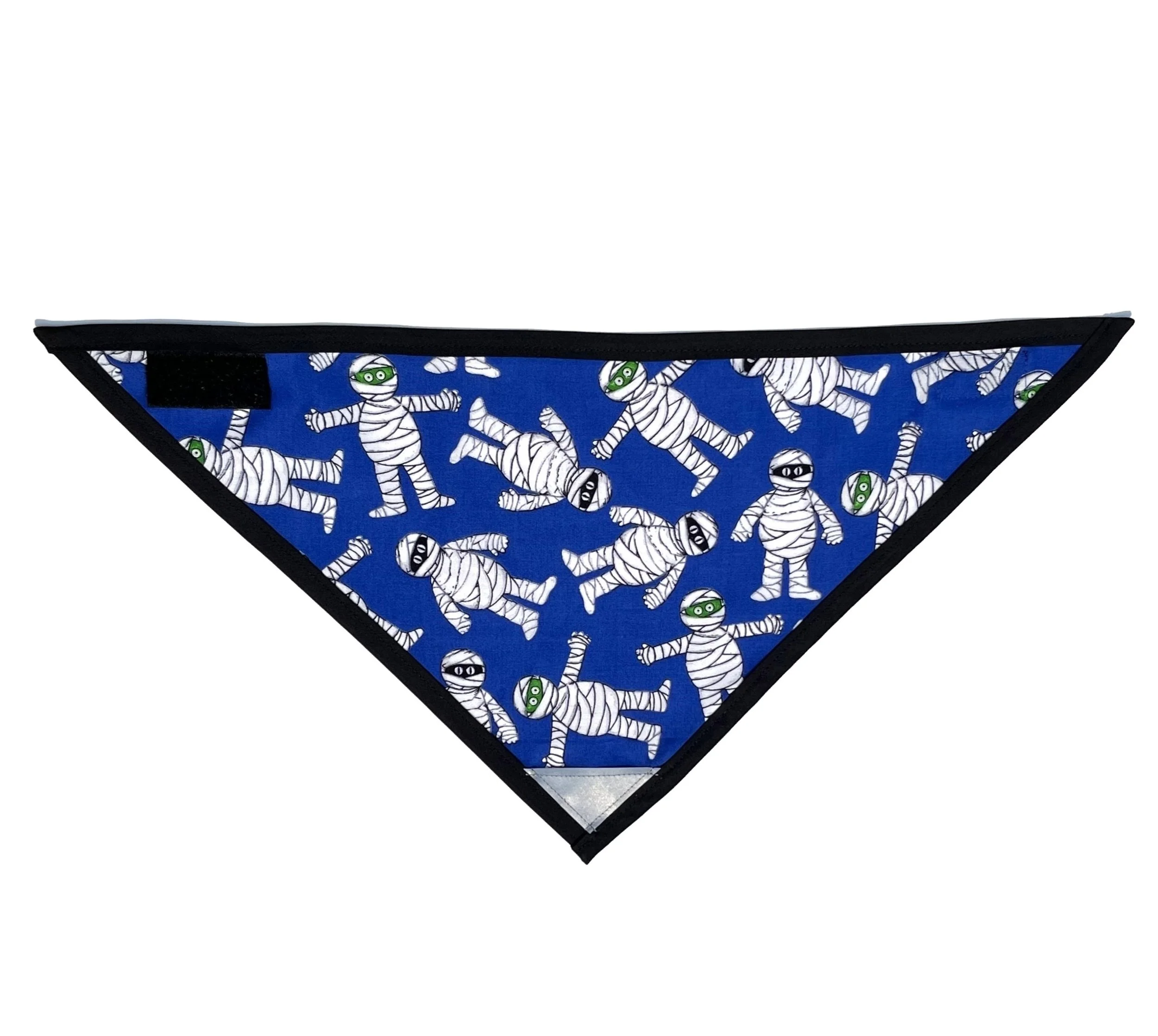Mummy (Blue).jpeg