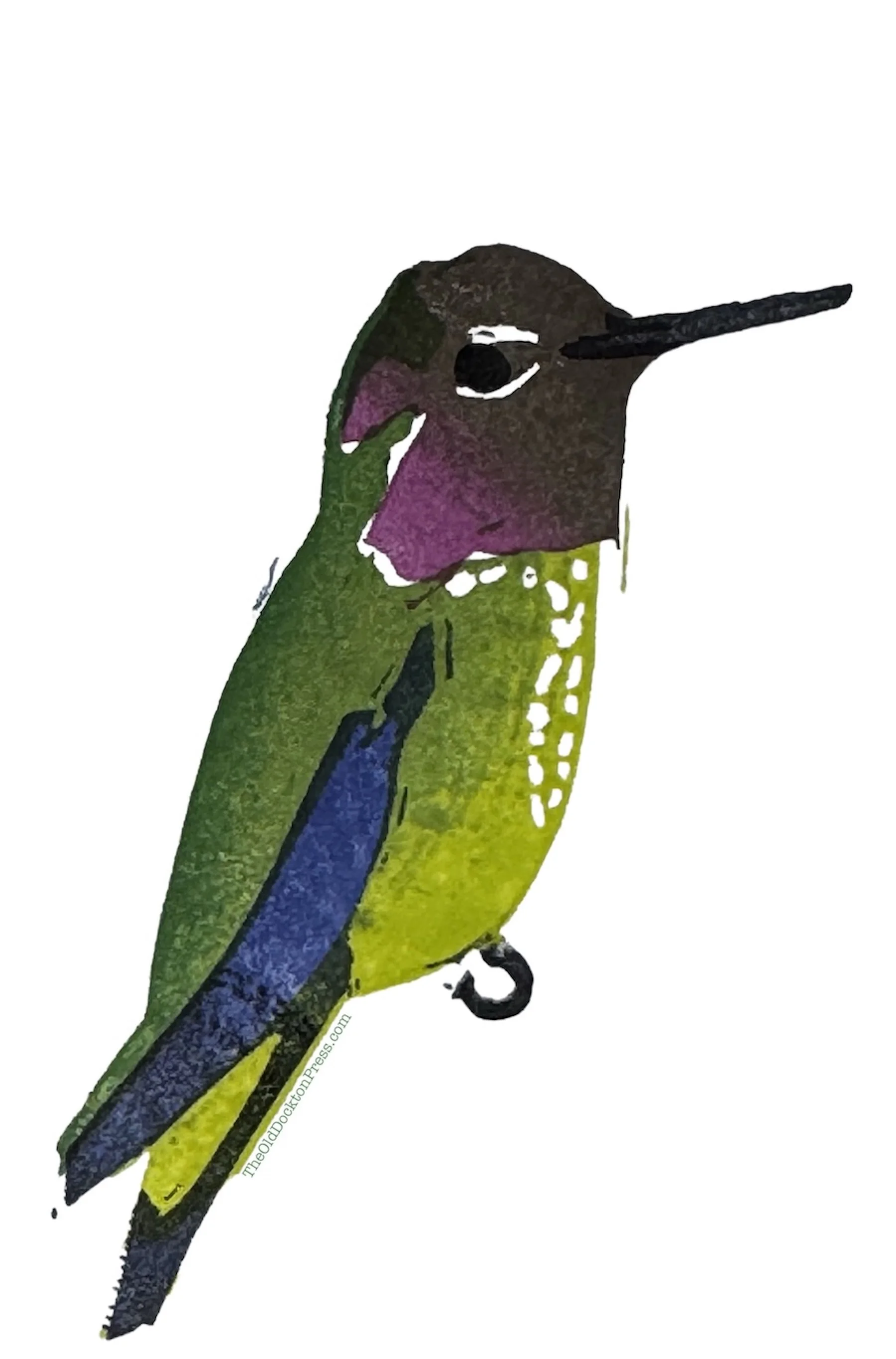 Hummingbird sticker.jpg (Copy)