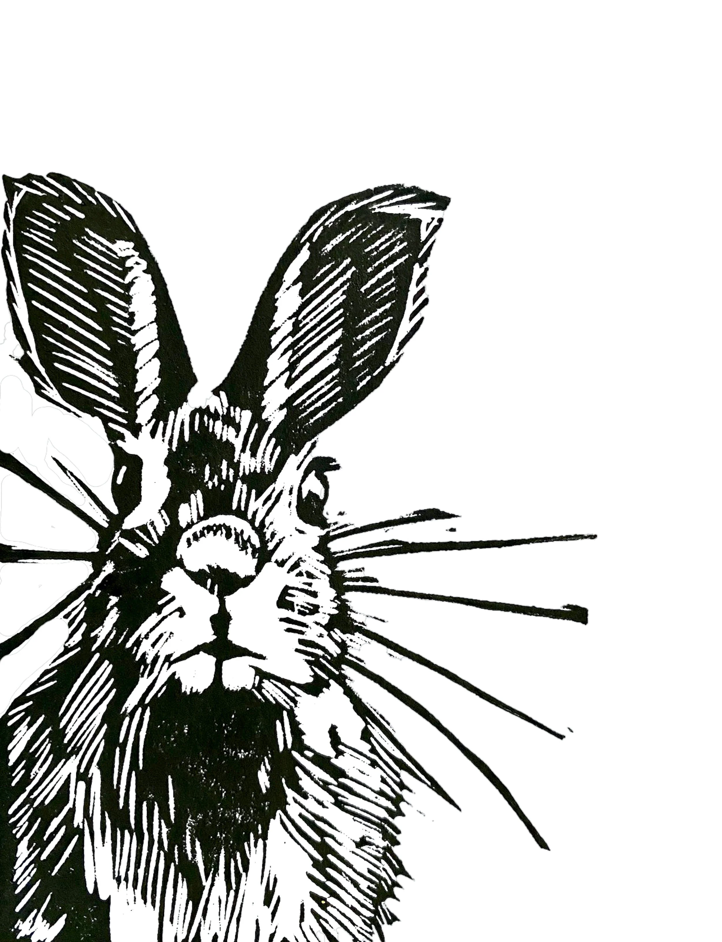 The Rabbit