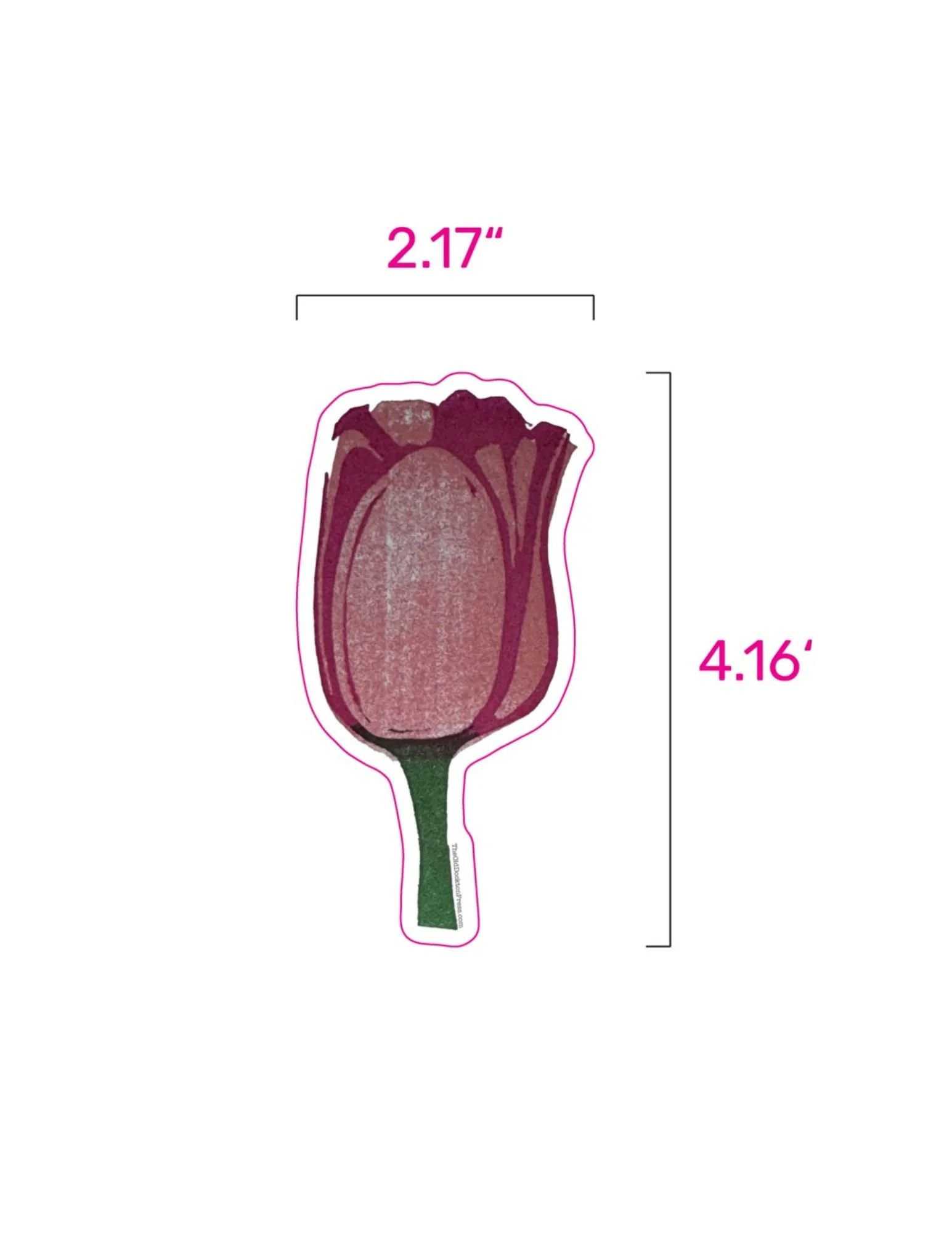 Tulip