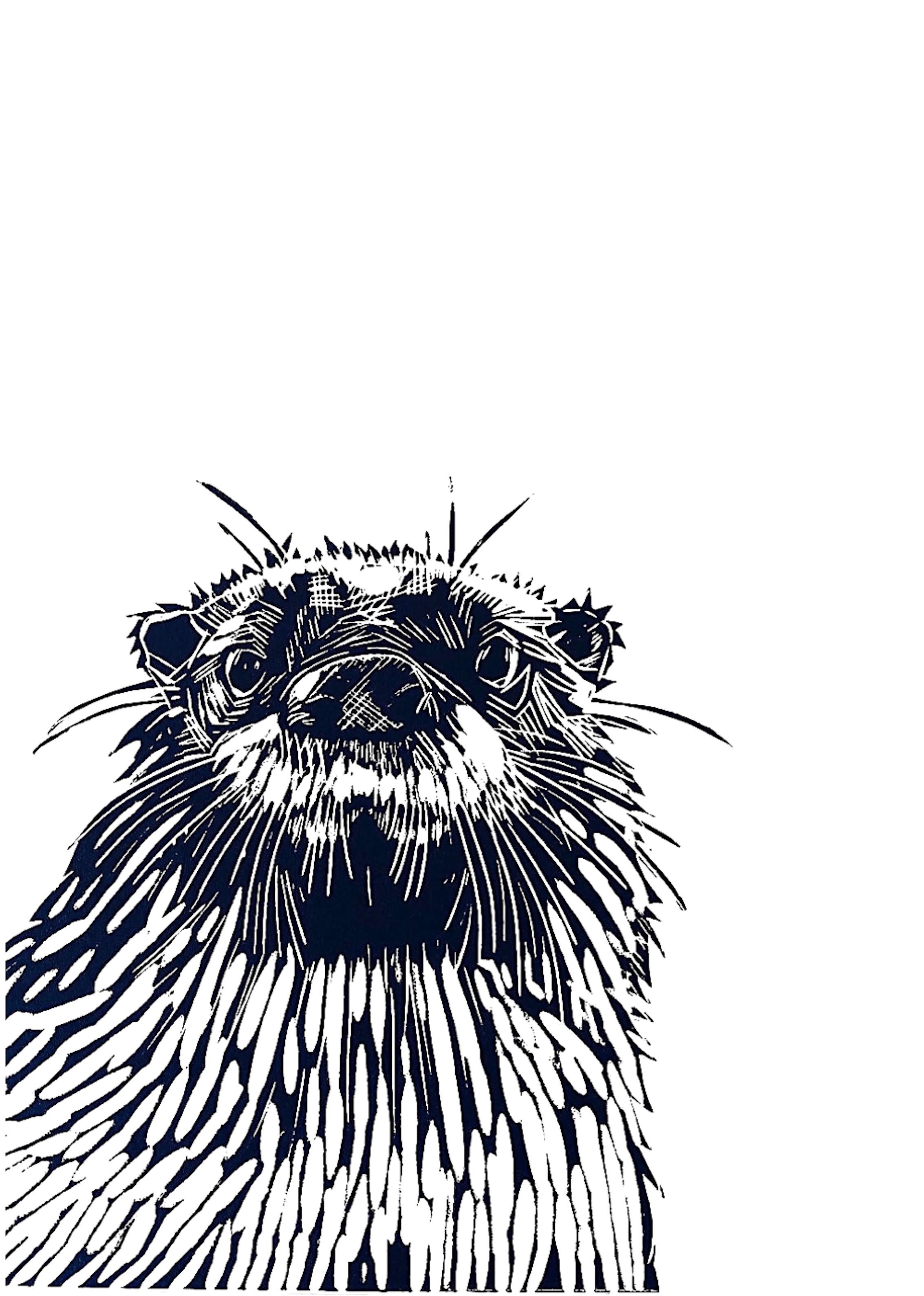 Otter front.png (Copy)
