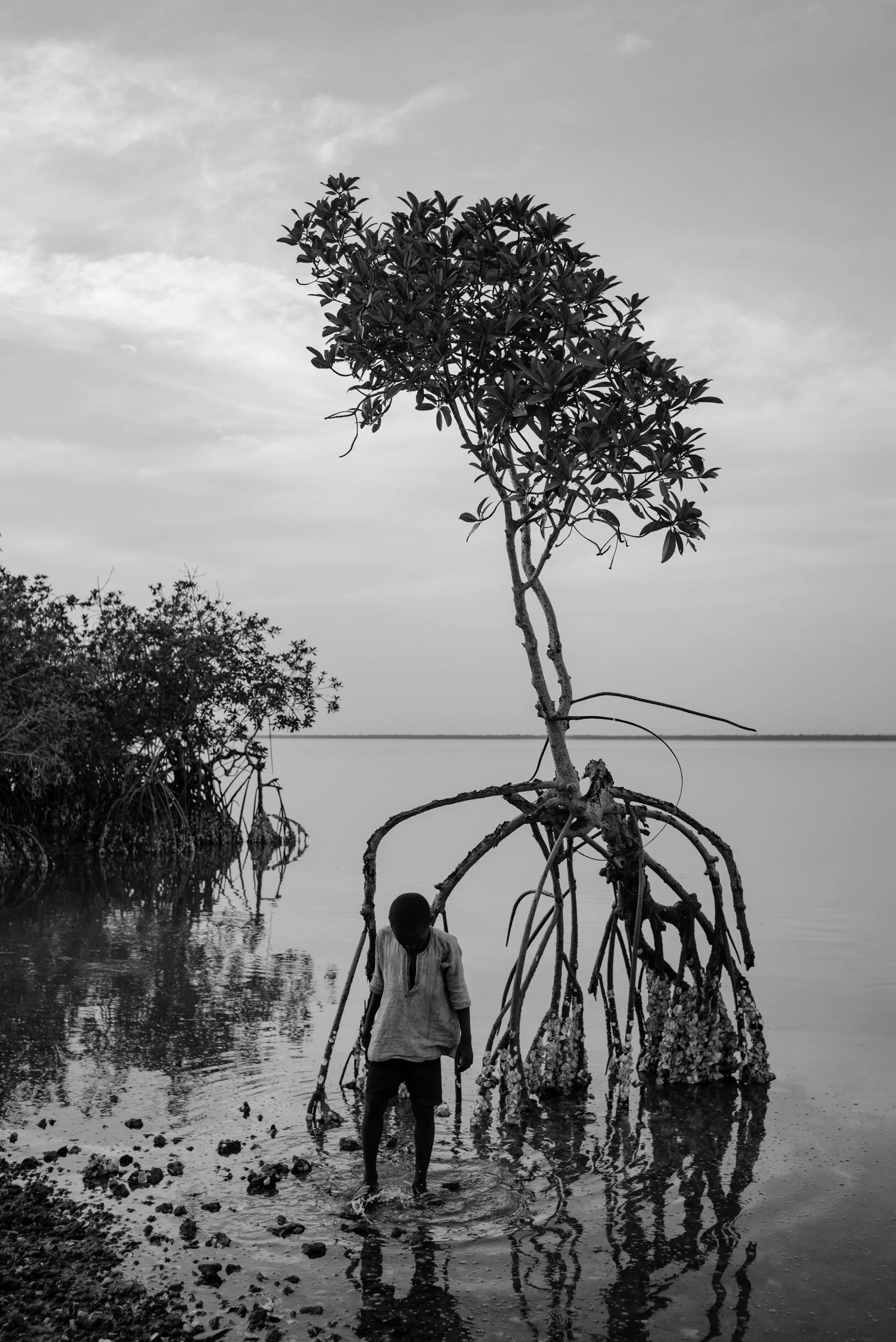 REGARDS FROM TANKULAR-1.jpg