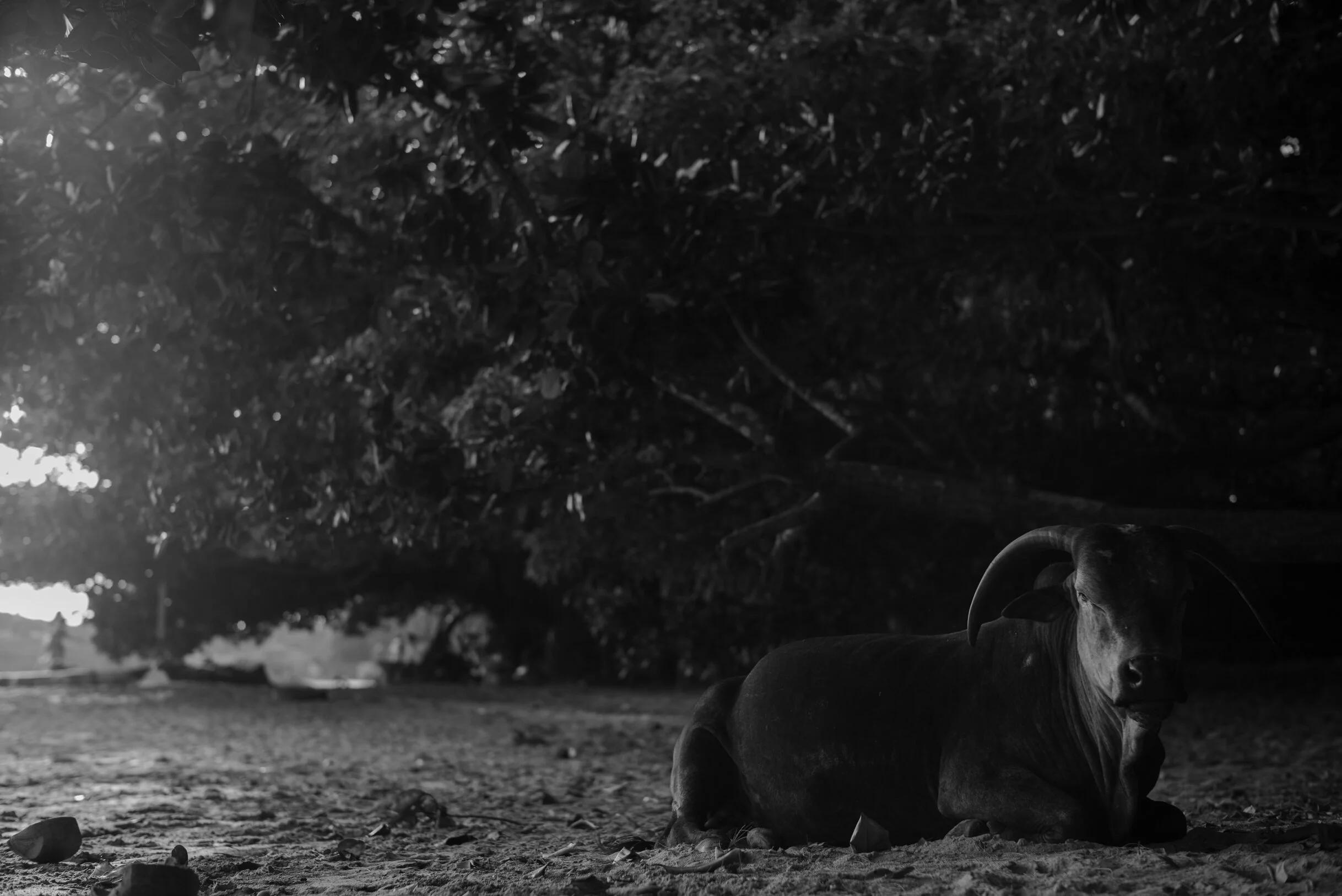 Gokarna monochrome-26.jpg
