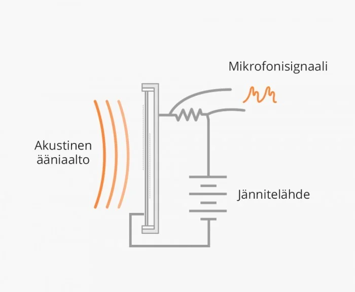 Mikrofonit-Kondensaattorimikrofonin_rakenne.jpg