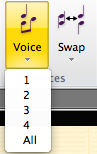 sibnoteinputvoice.png