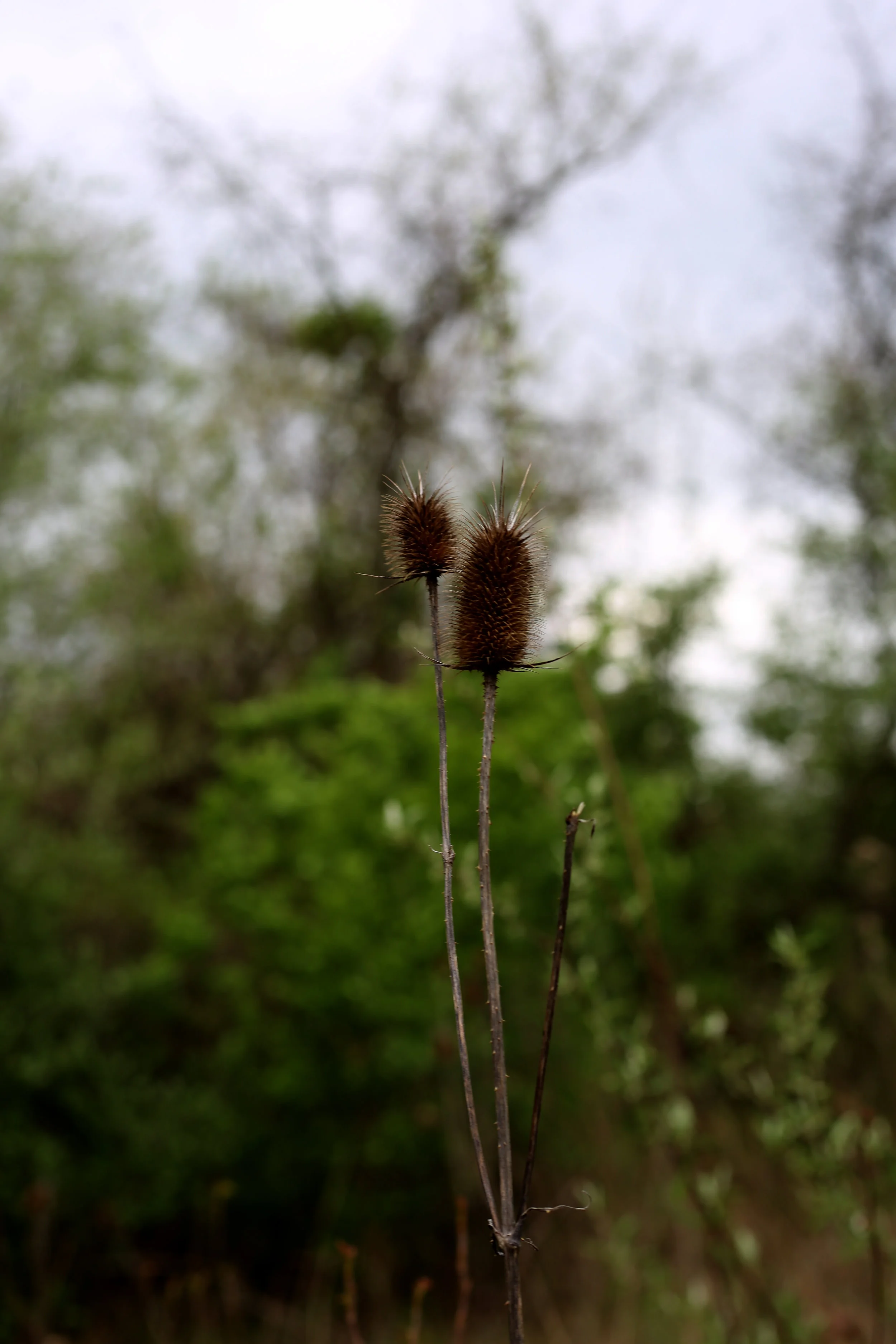 557A8410a.jpg