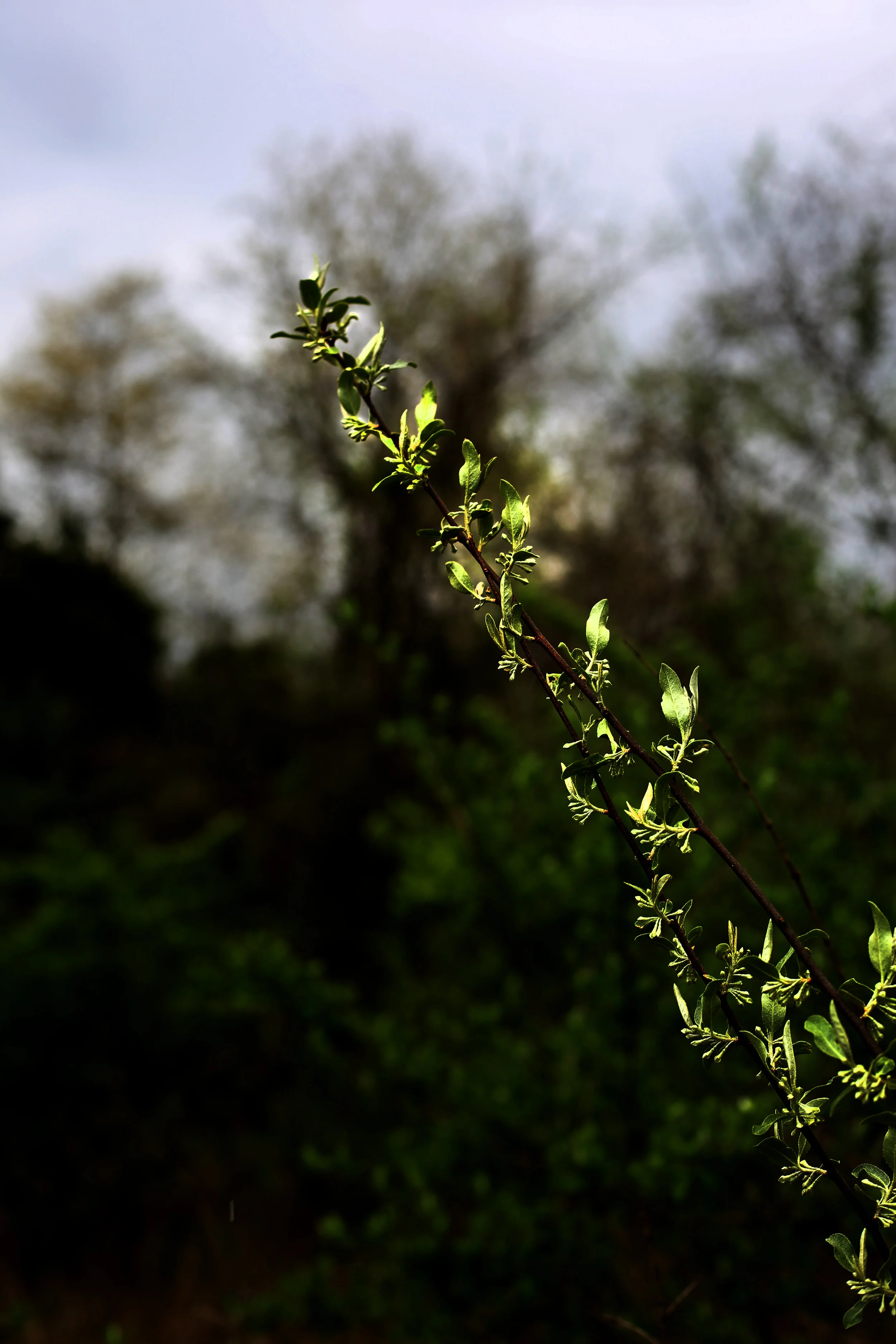 557A8411.jpg