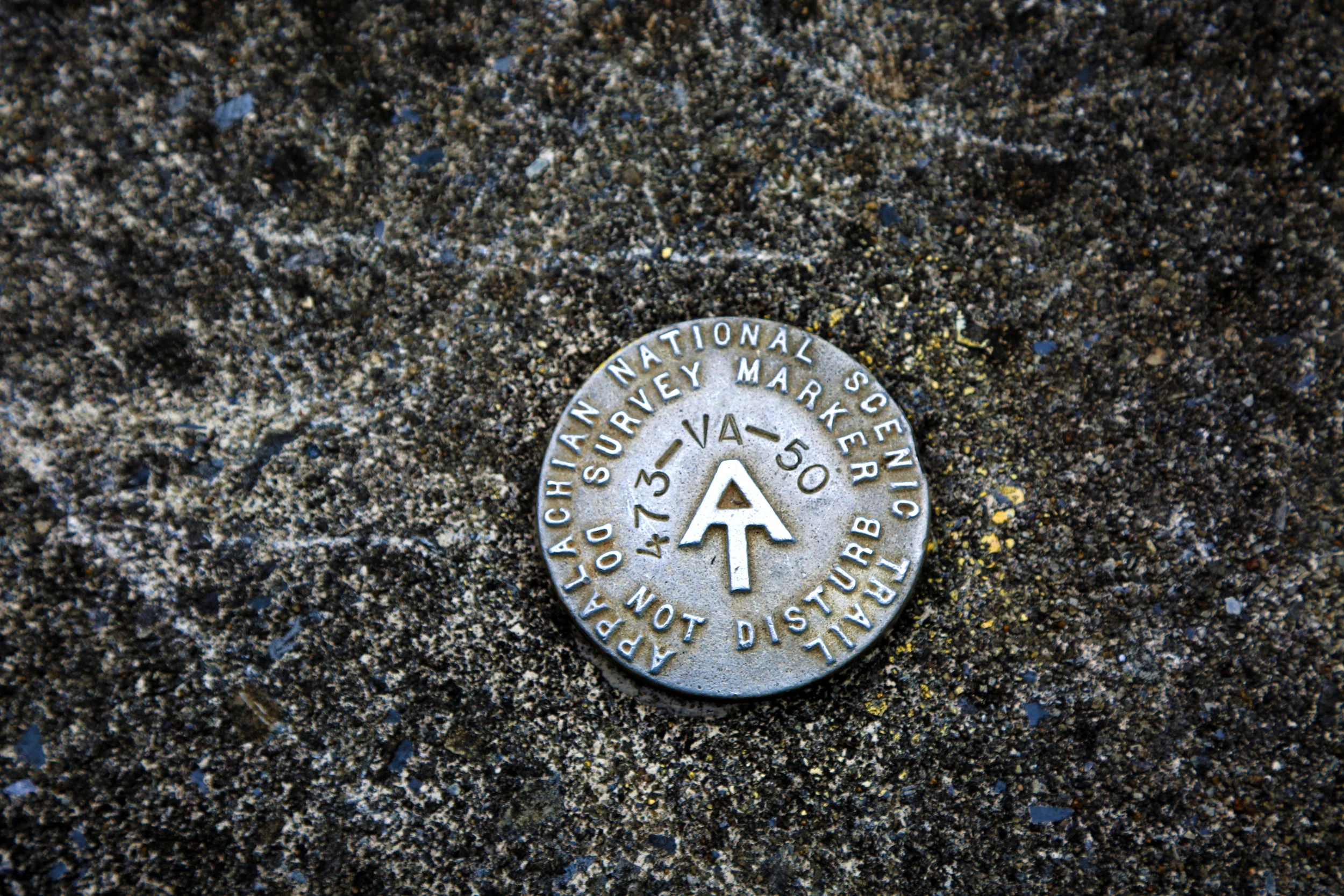 557A8433.jpg