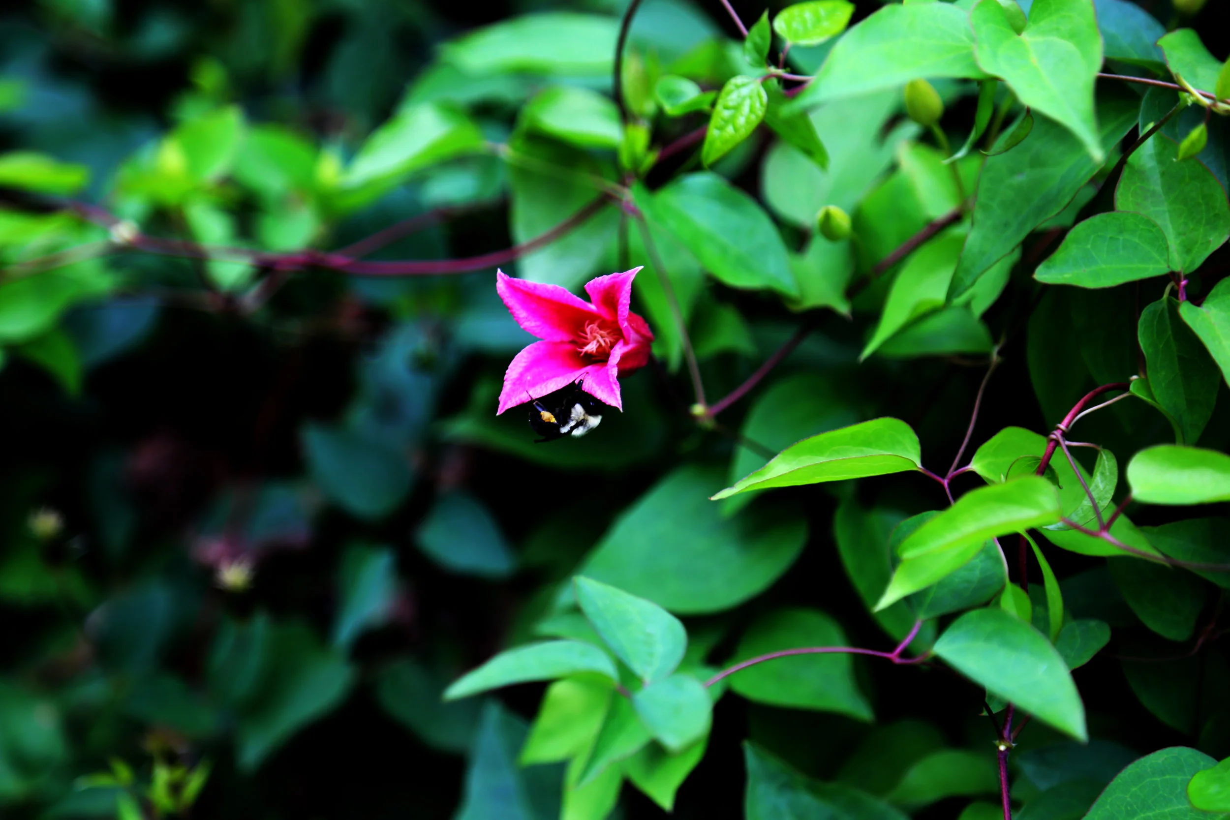 557A9968.jpg