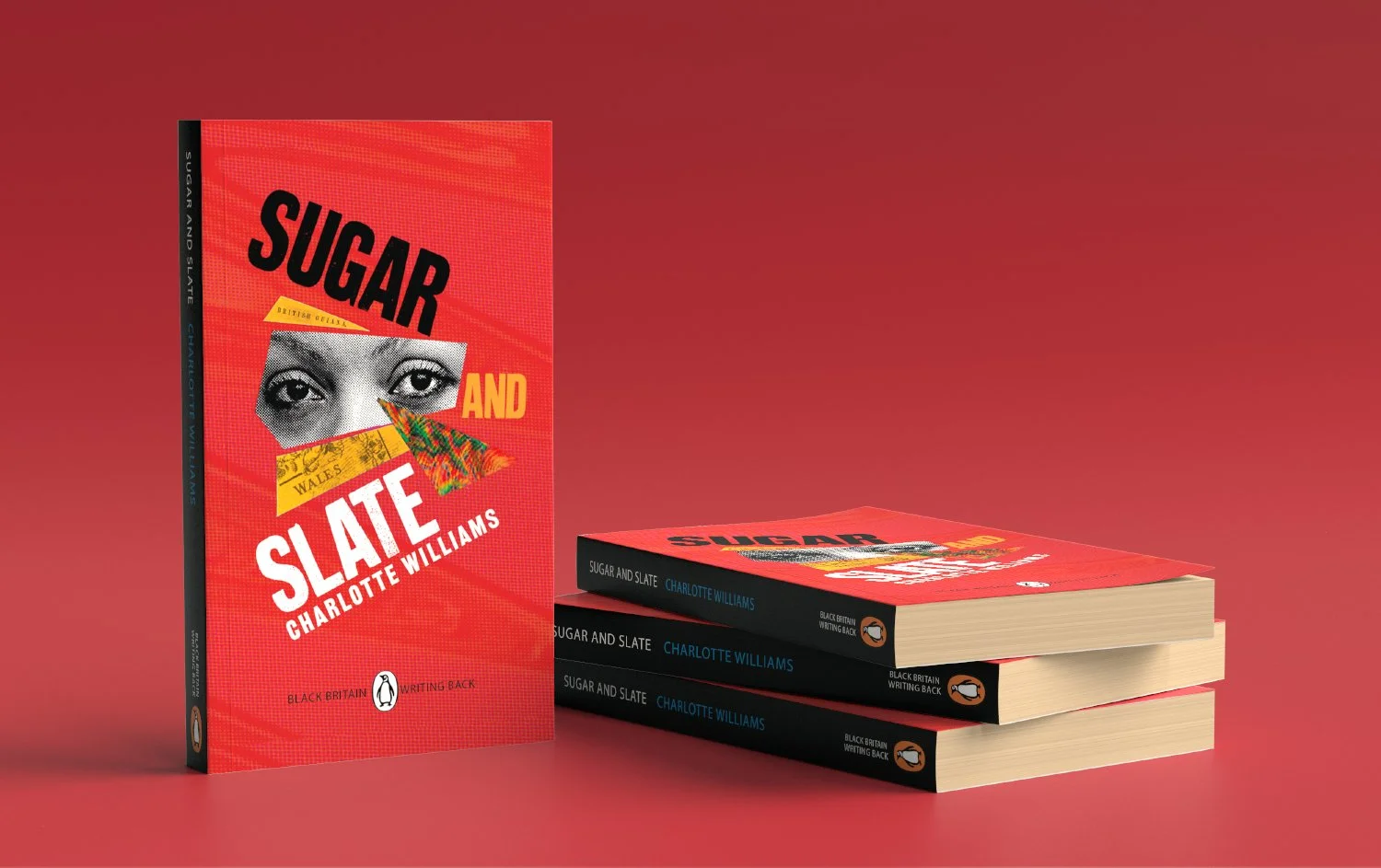 +Book_mockup_sugar and slate FINAL.jpg
