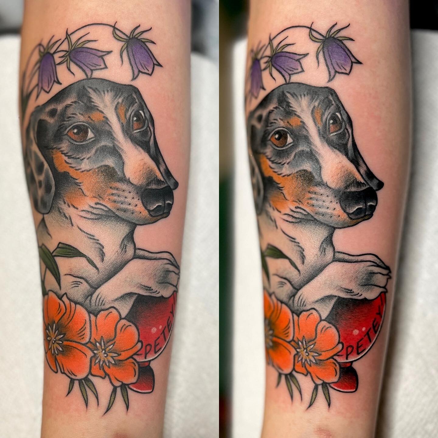 Many thanks to Rachel for allowing me to do this special memorial tattoo for Petey. It sounds like he was truly a magical little weiner. RIP Petey 💔&hearts;️