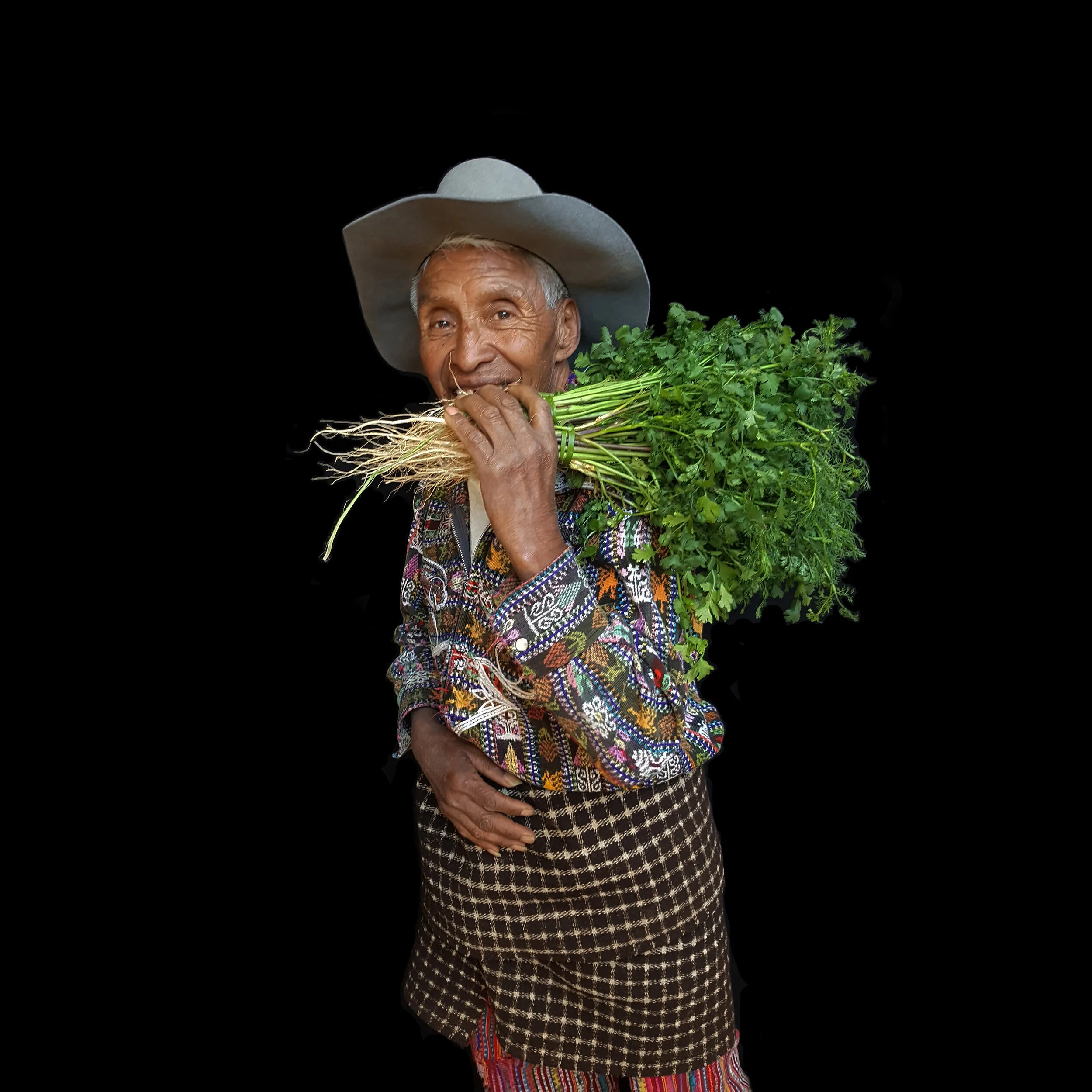 1 cilantro.jpg
