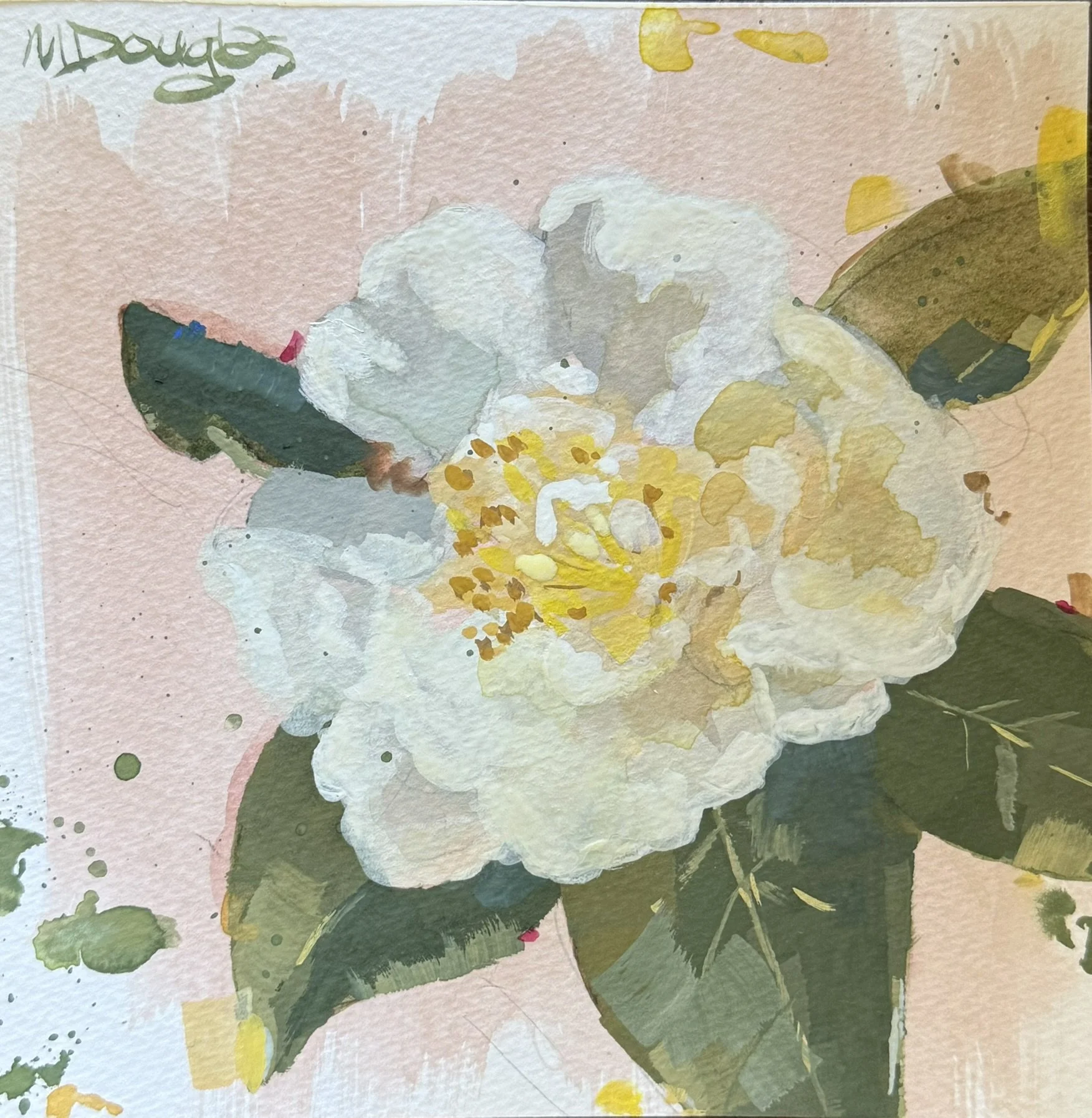White Camellia