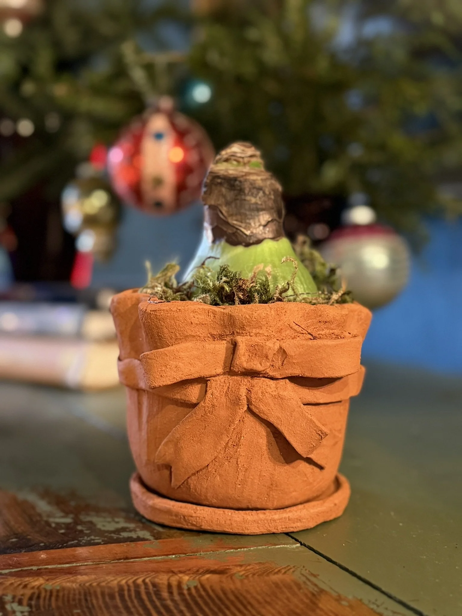 Terracotta Ribbon Pot