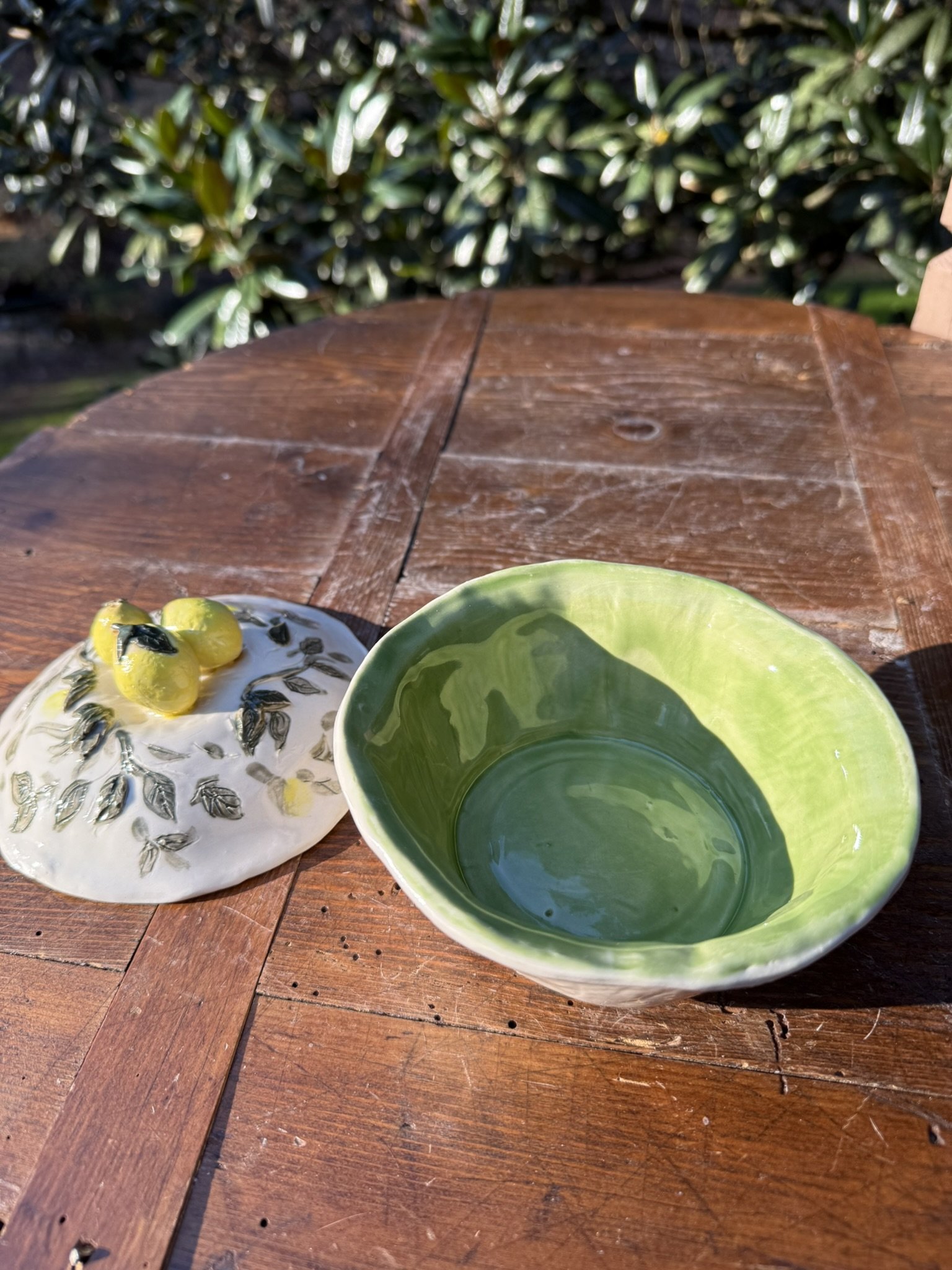 lemonbowl3.JPEG