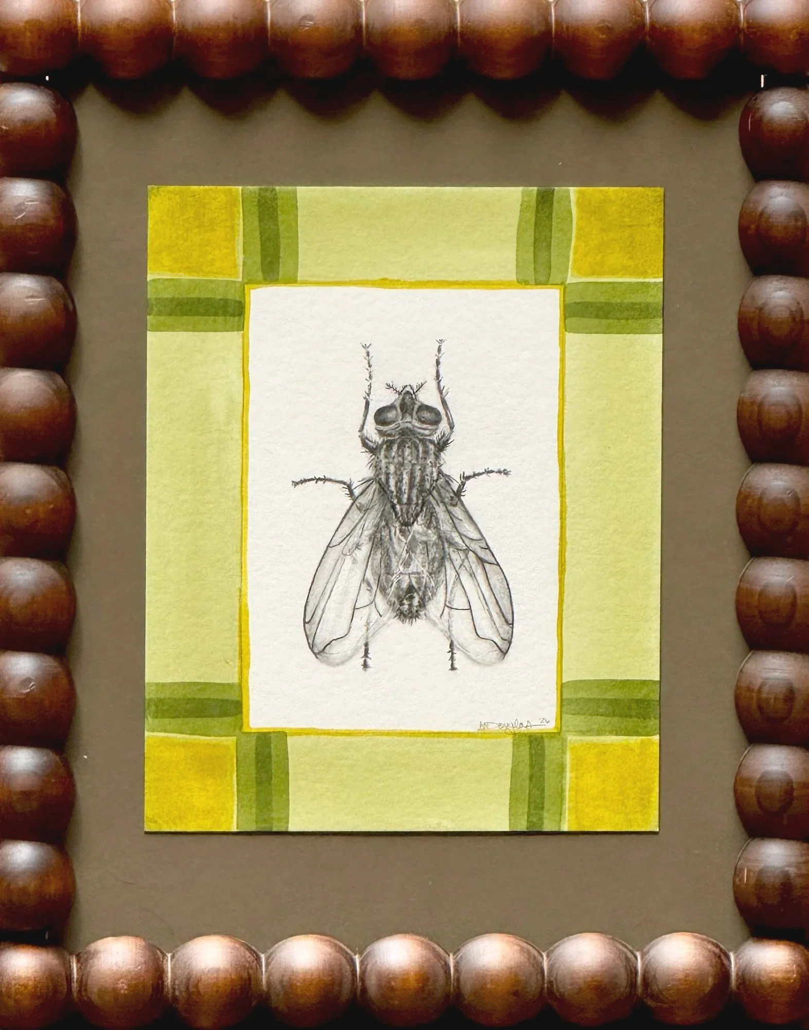 framed+fly2.jpg