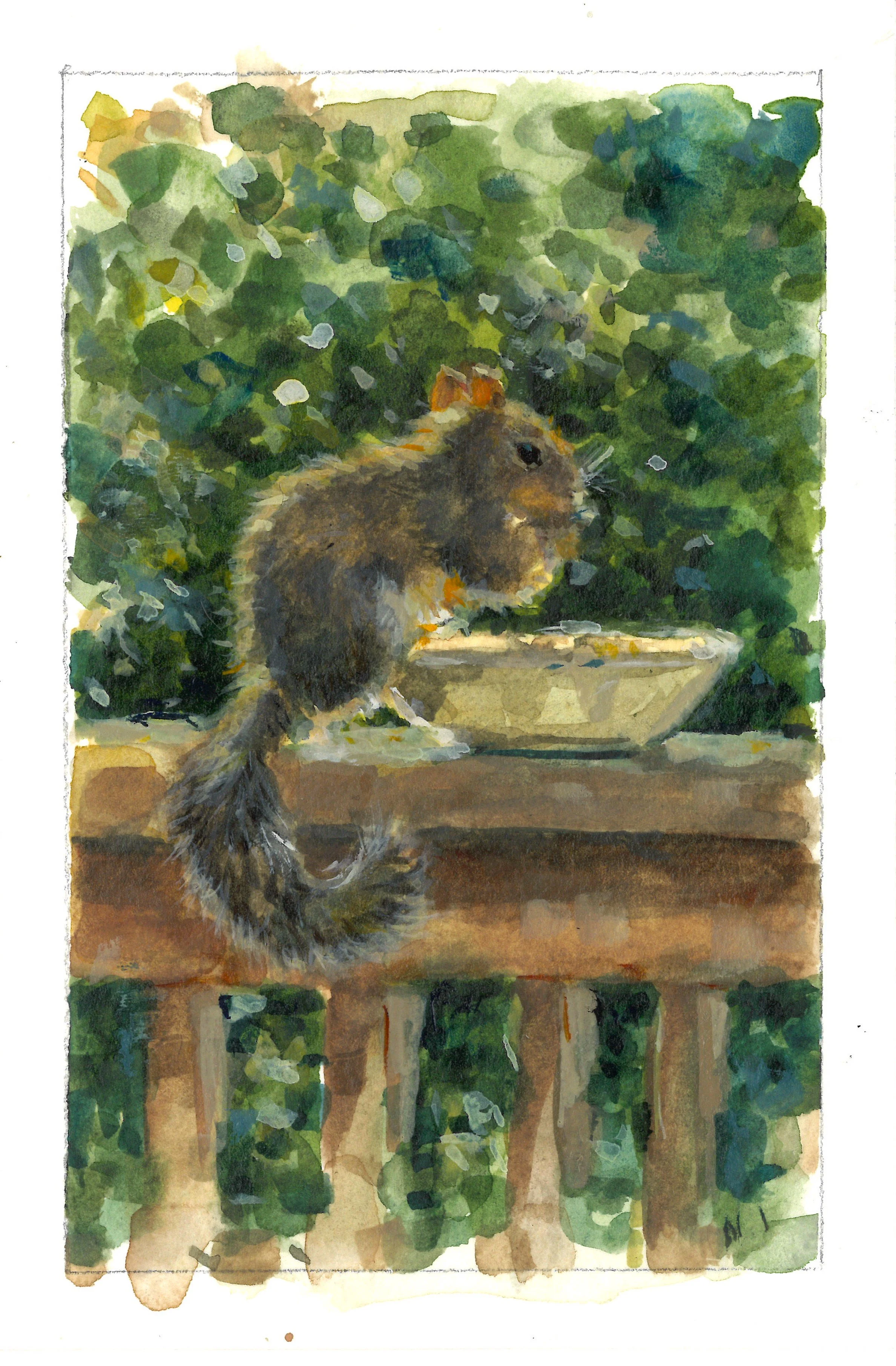 Squirrel with Bowl crop.jpg