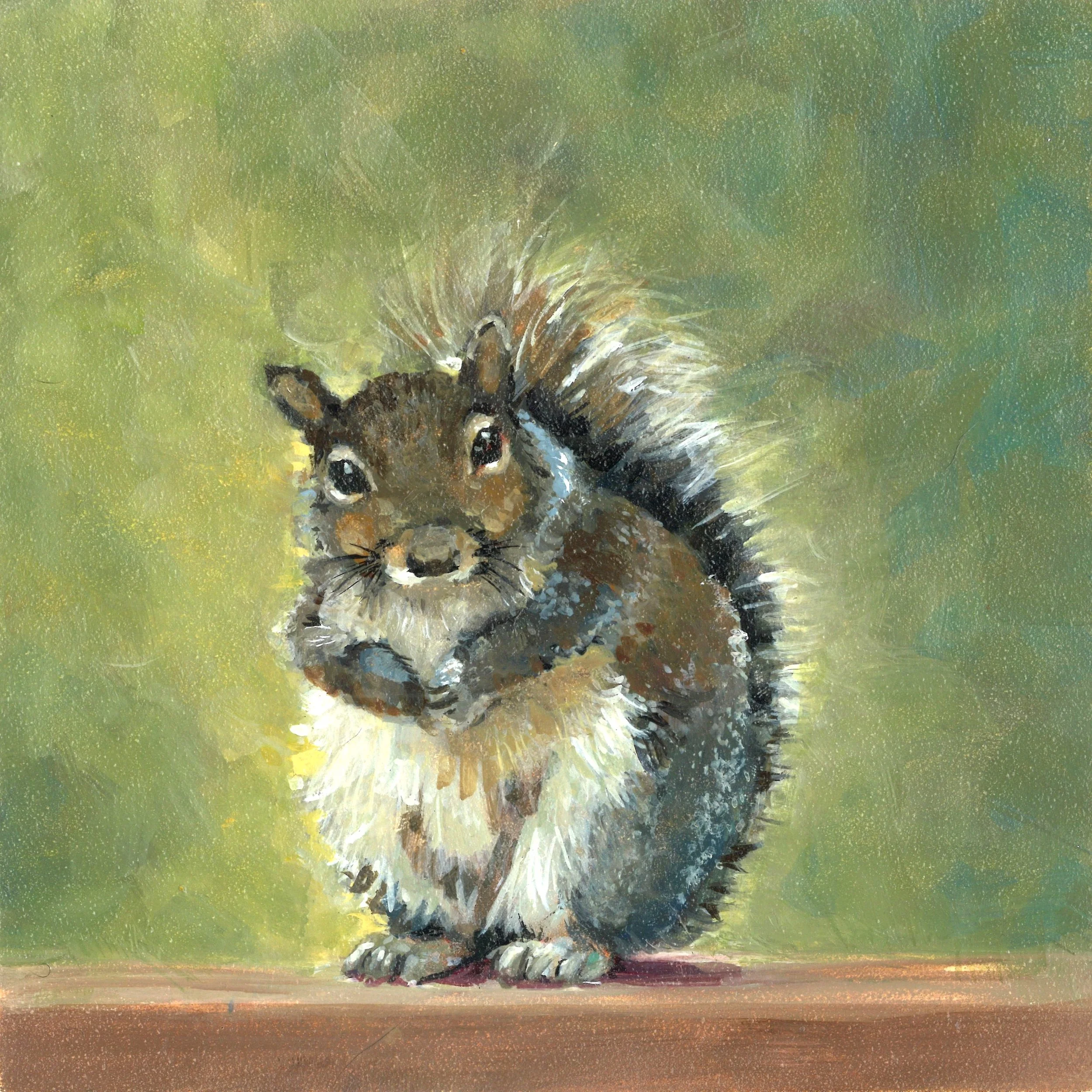 Squirrel.jpg