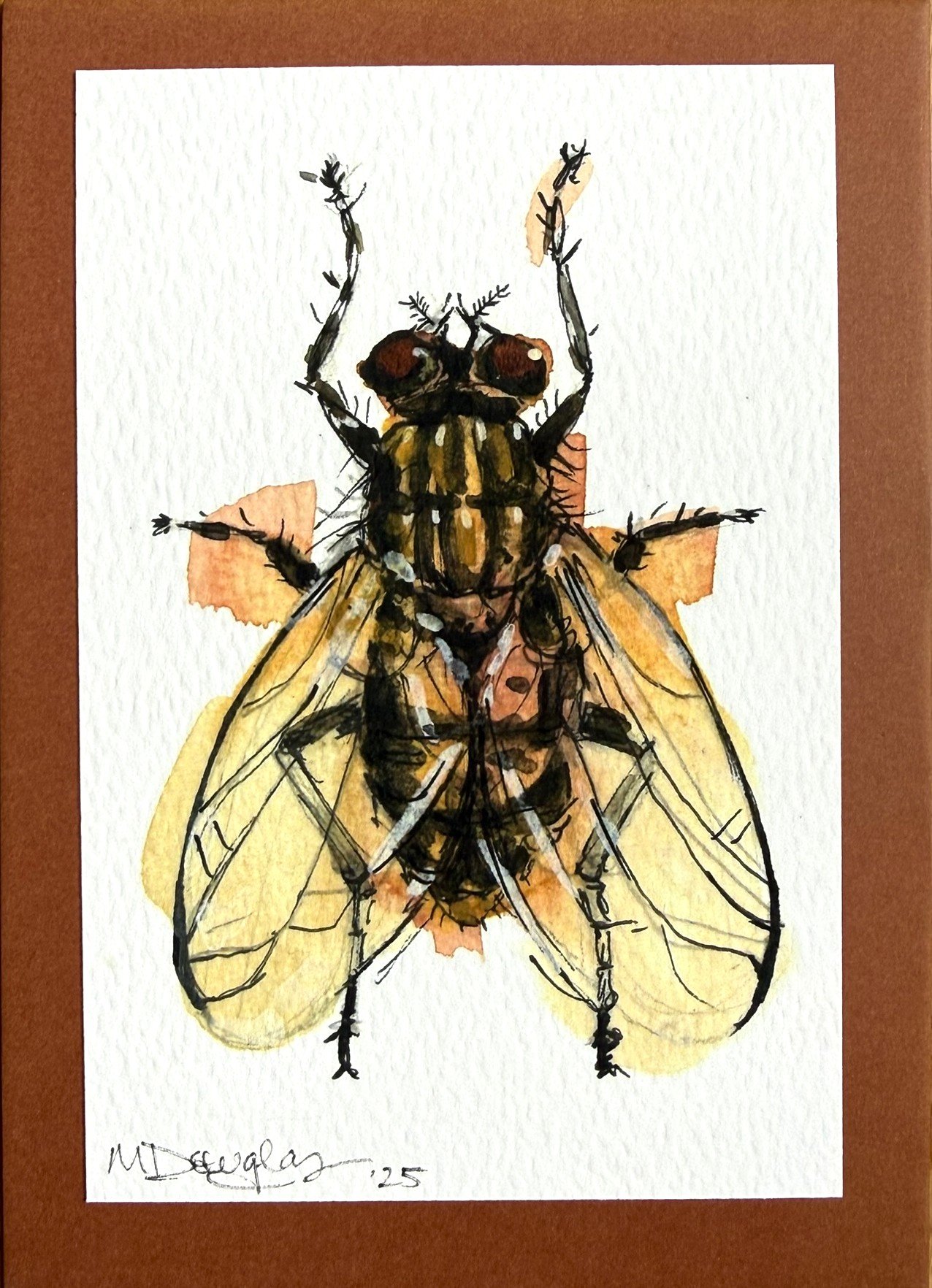 flyonthewallprint.JPEG