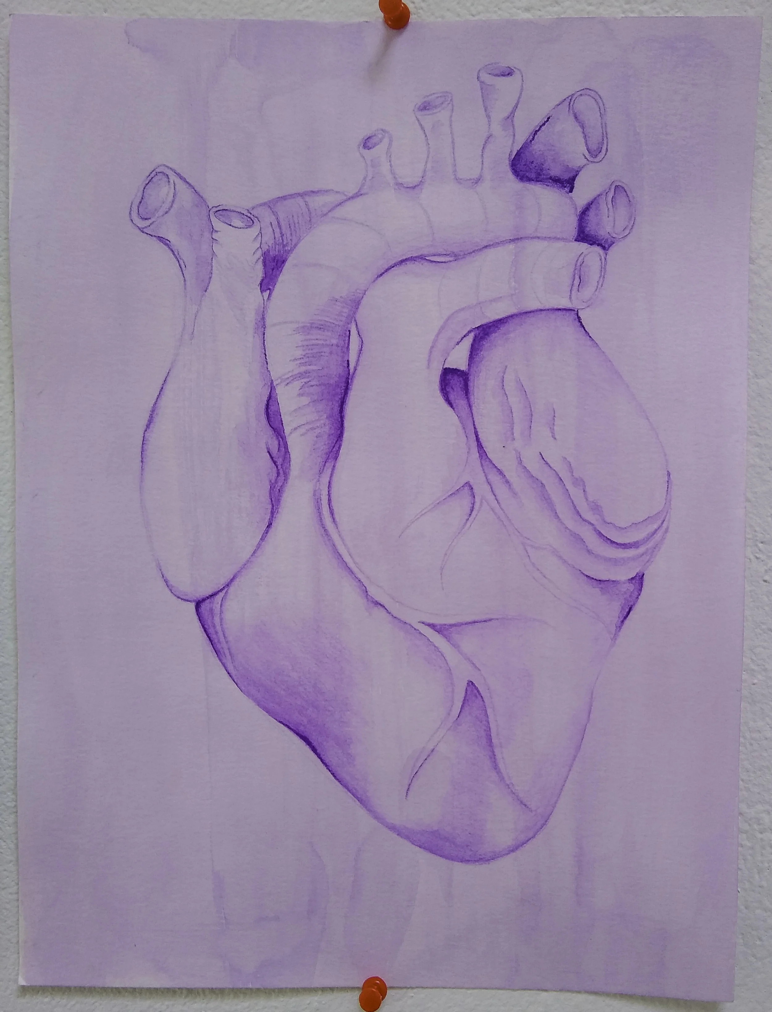purple heart jpeg.jpg