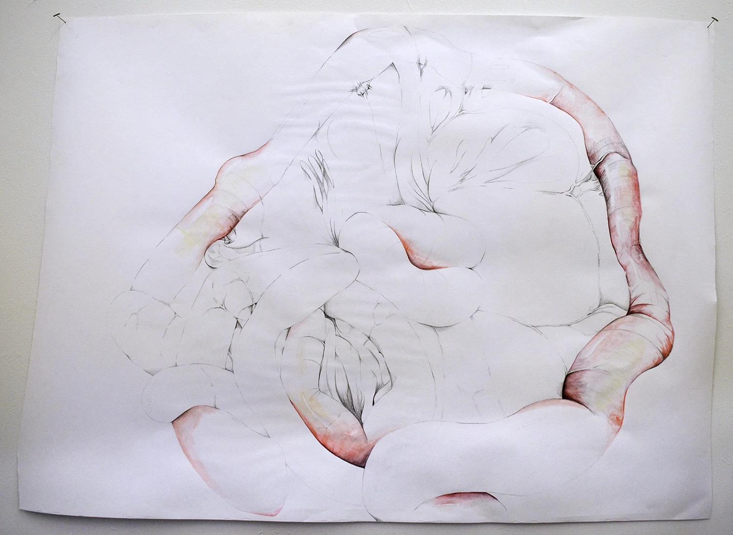 Stomach-web.jpg