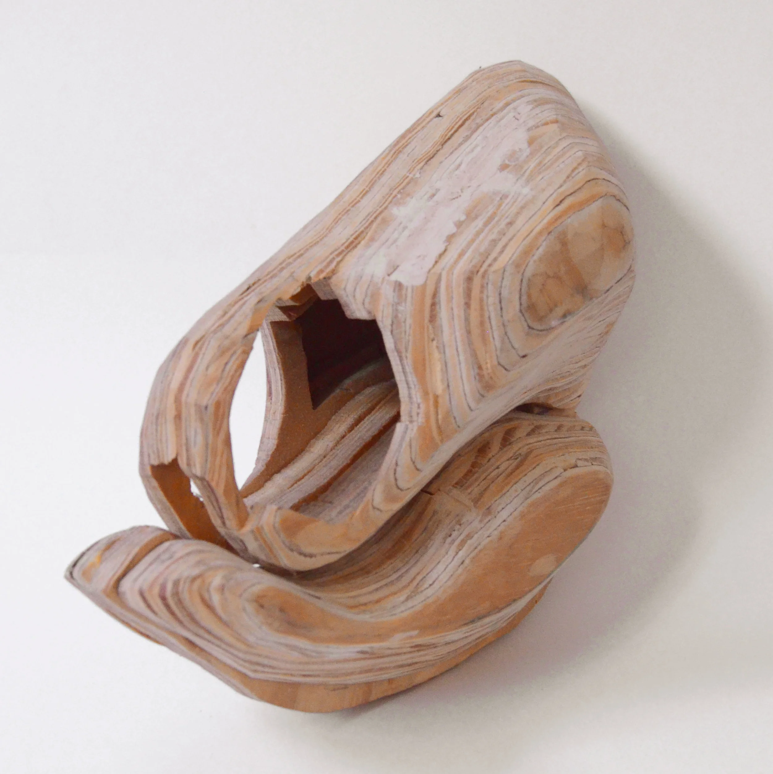 Pod Skull, Samantha Fitzmorris.JPG