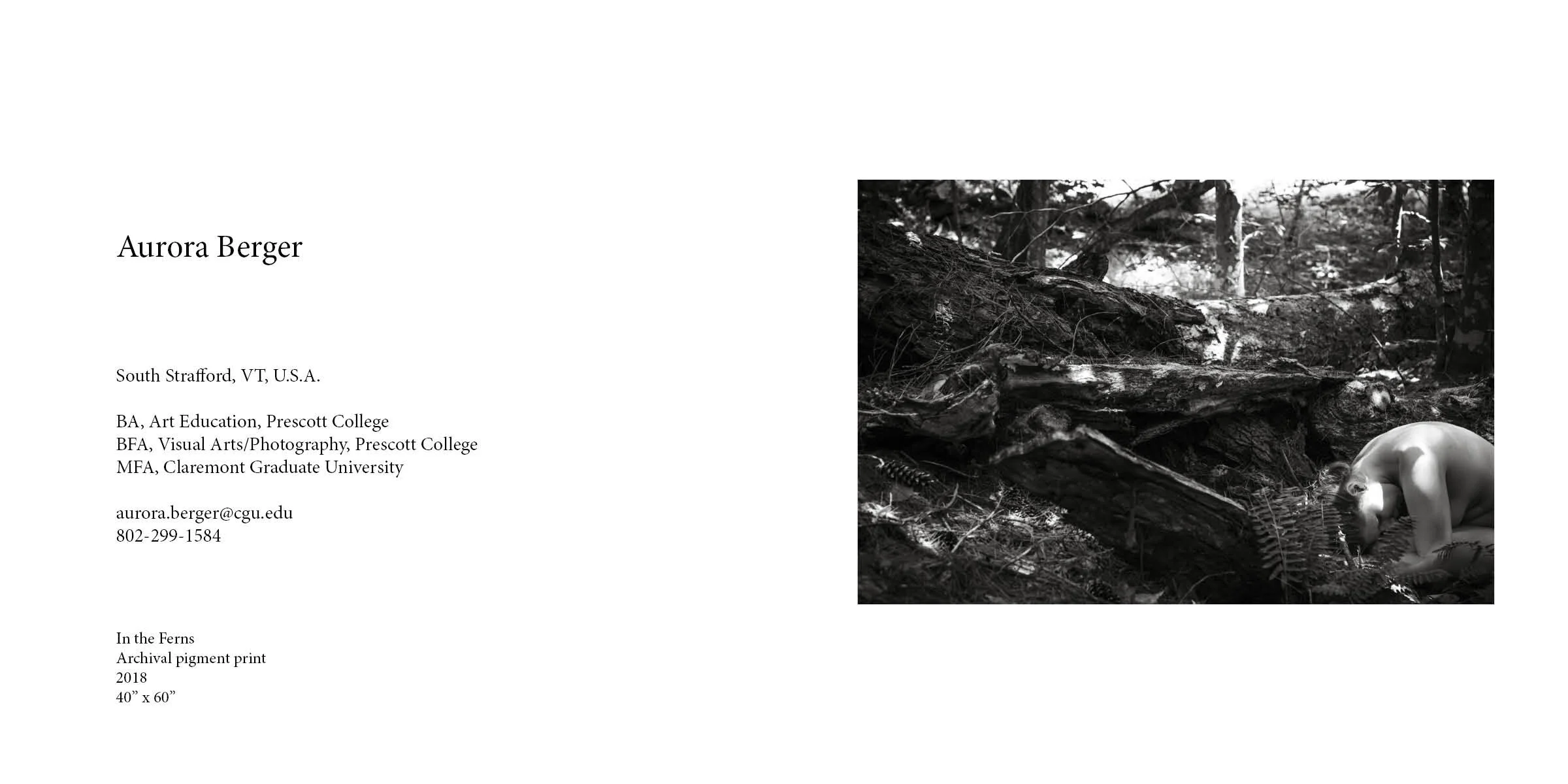 MFA book 2019 new4.jpg