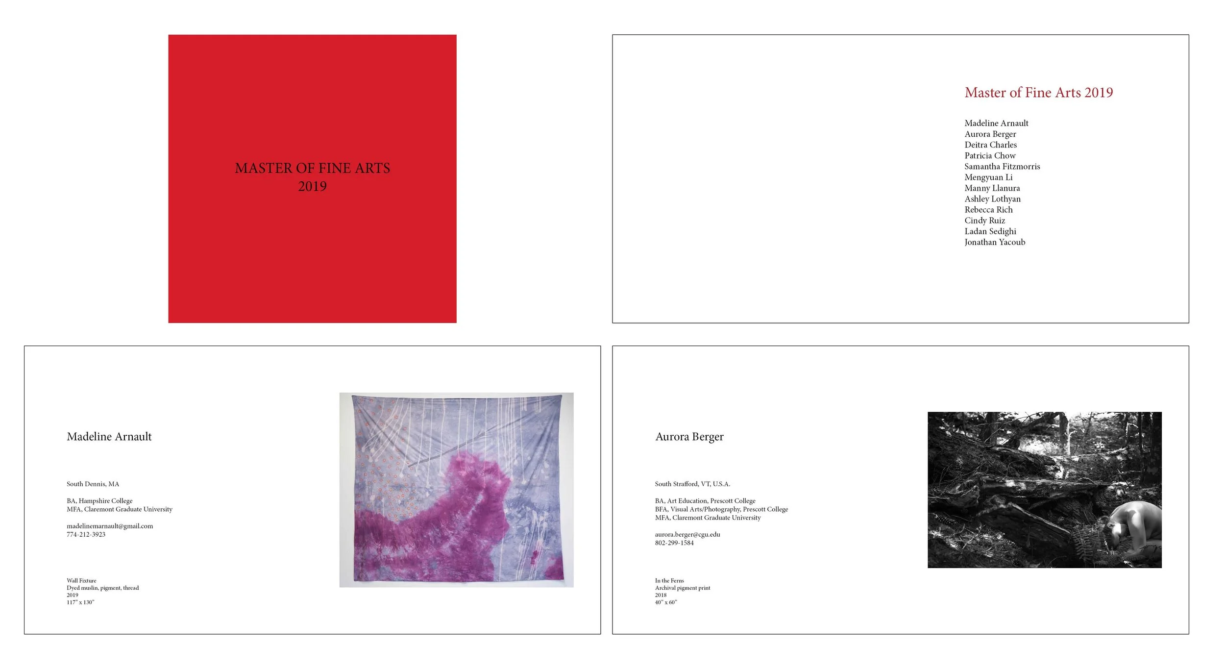 mfa book.jpg