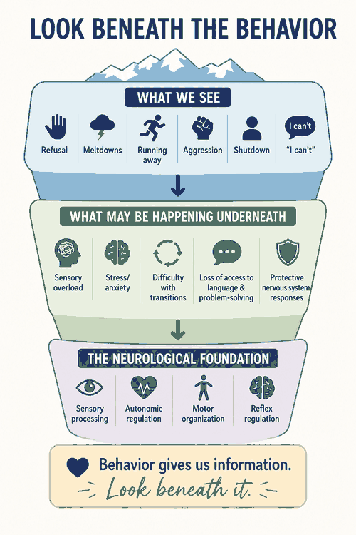 Signs of emotional dysregulation in children showing how behaviors such as meltdowns, refusal, aggression, and shutdown can relate to underlying nervous system regulation