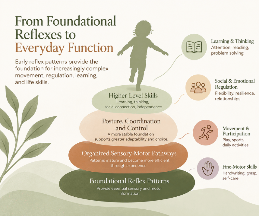 Infographic showing how foundational reflex patterns support sensory-motor pathways, posture and coordination, and higher-level skills including learning, emotional regulation, movement, and fine-motor skills.