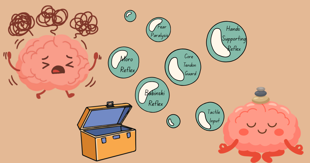 clip art of a brain that is agitated, an open toolbox with reflexes named on bubbles floating out, then another clipart brain that is sitting in a zen position and calm