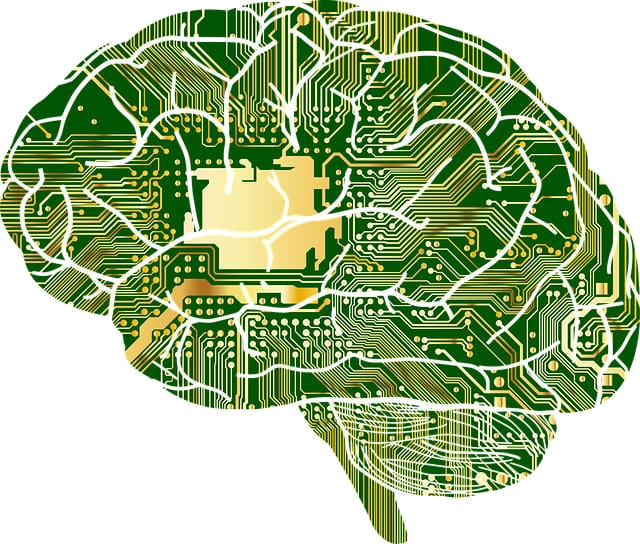 drawing of a brain that is wired like circuits on a computer board