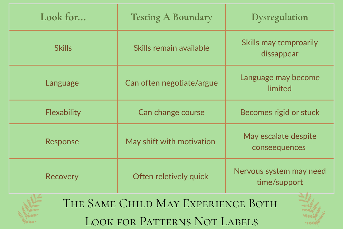 Table comparing how behaivors appear when a child is testing a boundary  vs. being dysregulated