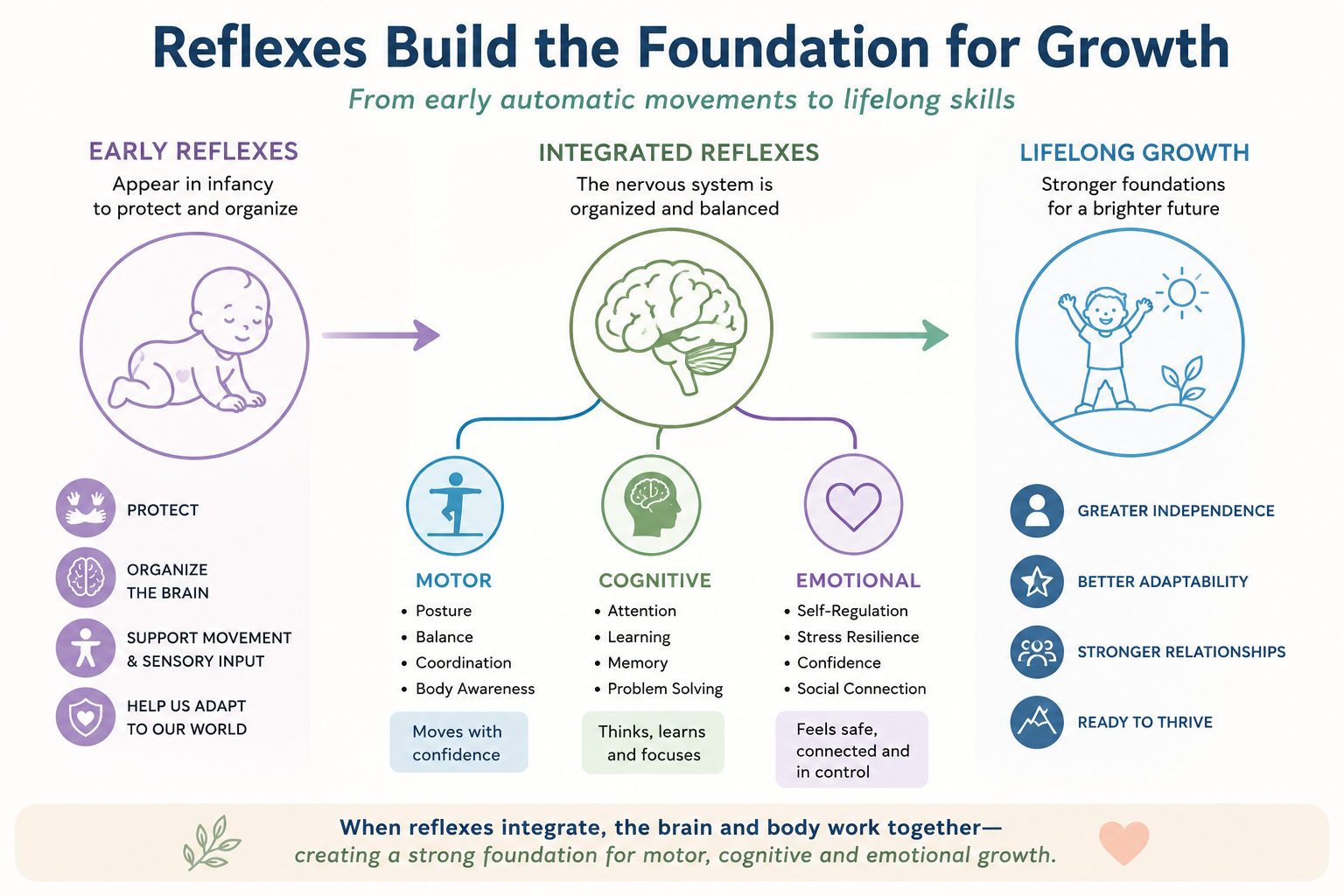 infographic about how reflexes affect motor, cognitive and emotional growth