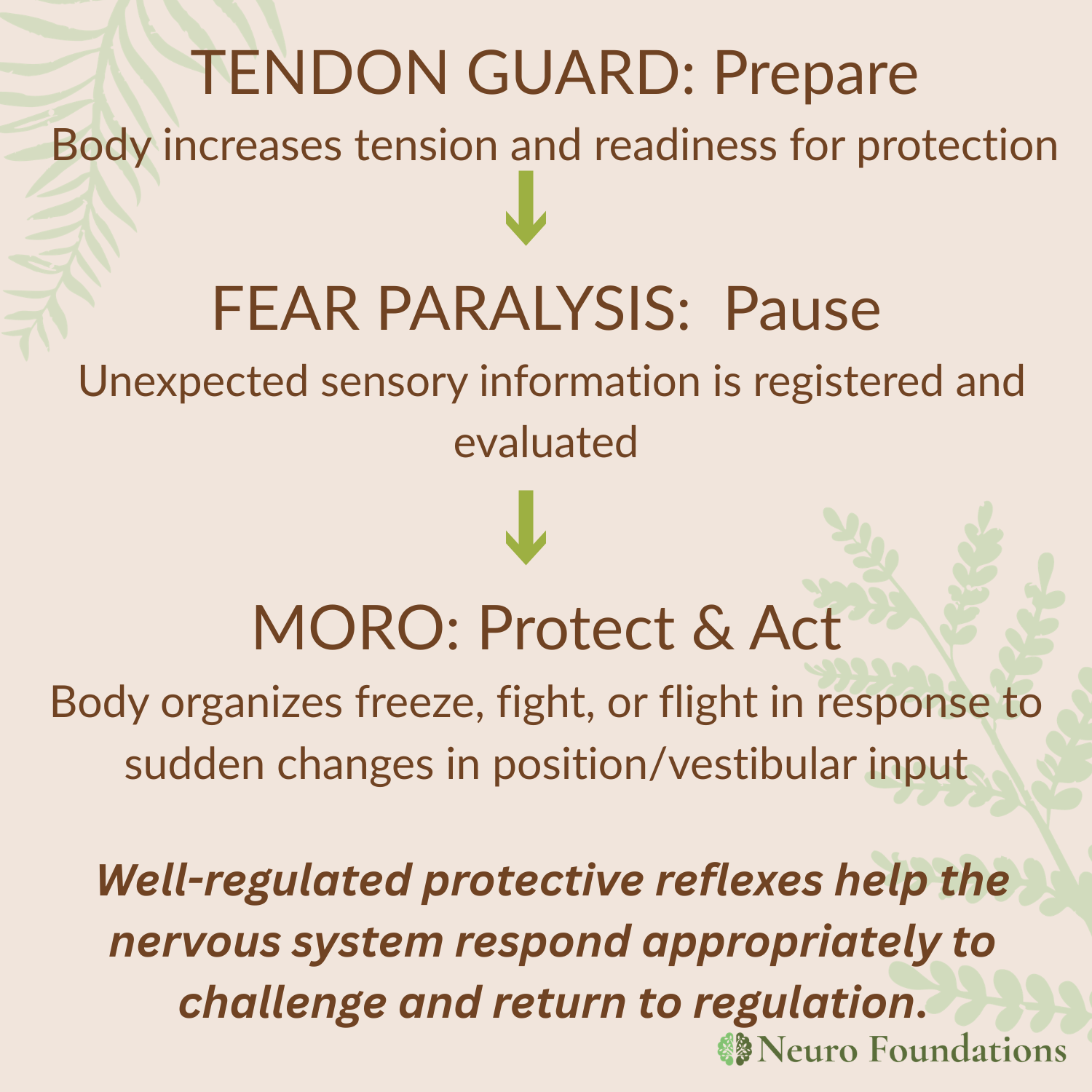 graphic showing how tendon guard reflex sets up preparation for the Fear Paralysis Reflex to pause, and the Moro reflex to move the body into fight or flight.