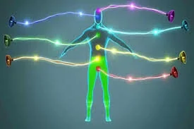 PERMANENT ZEN BLOG:  WHAT ARE CORDS OF ATTACHMENT?