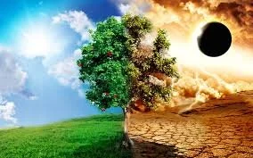 PERMANENT ZEN BLOG:  INTUITION VS EGO—HOW TO TELL WHICH INNER VOICE IS WHICH?