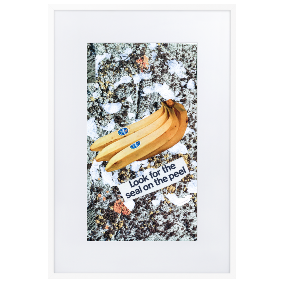 matte-paper-framed-poster-with-mat-(cm)-white-61x91-cm-transparent-6366869334833.png