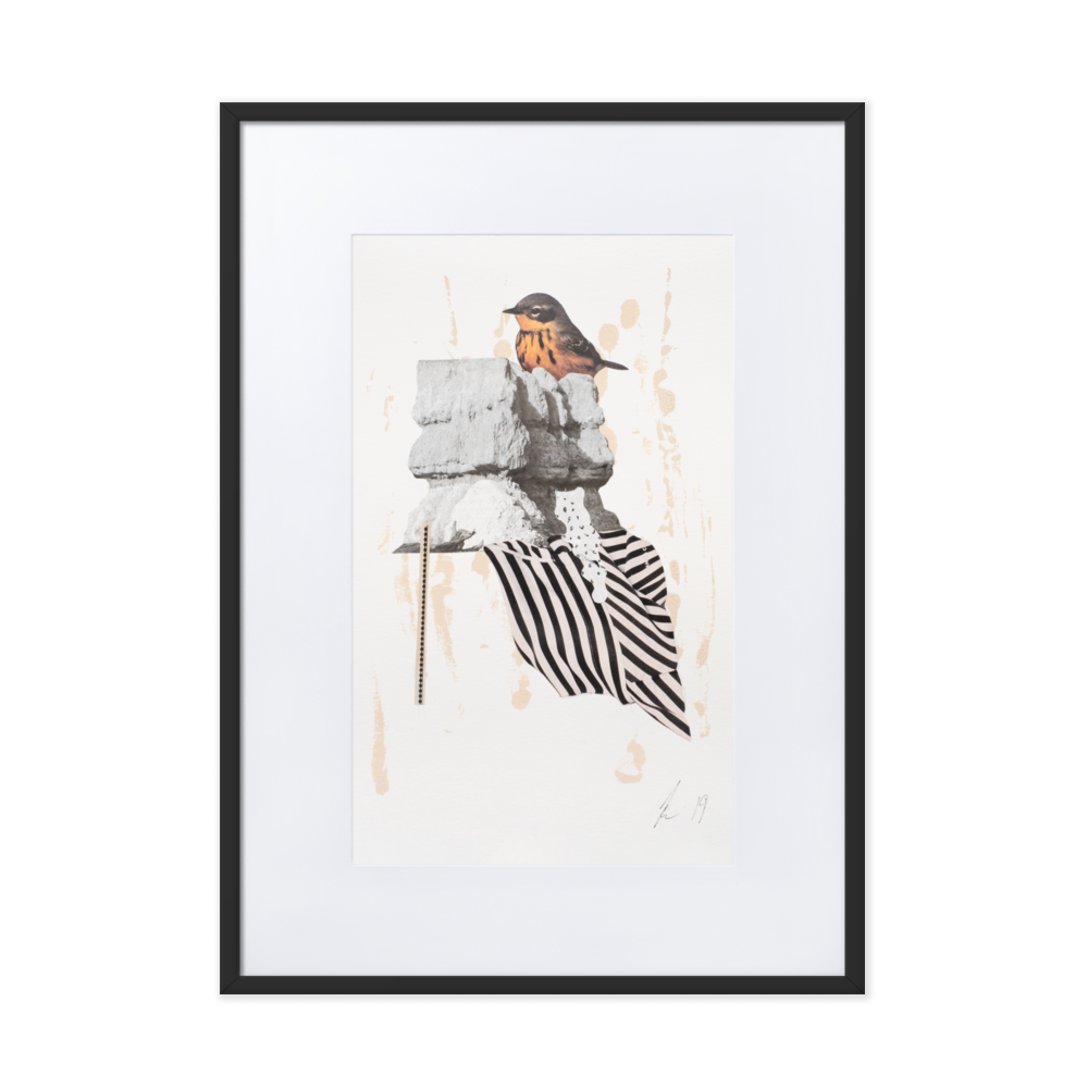 matte-paper-framed-poster-with-mat-(cm)-black-50x70-cm-transparent-6379178a33d39.png