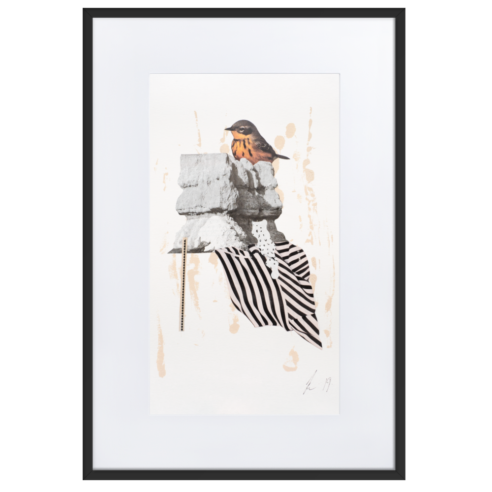 matte-paper-framed-poster-with-mat-(cm)-black-61x91-cm-transparent-6379178a33deb.png